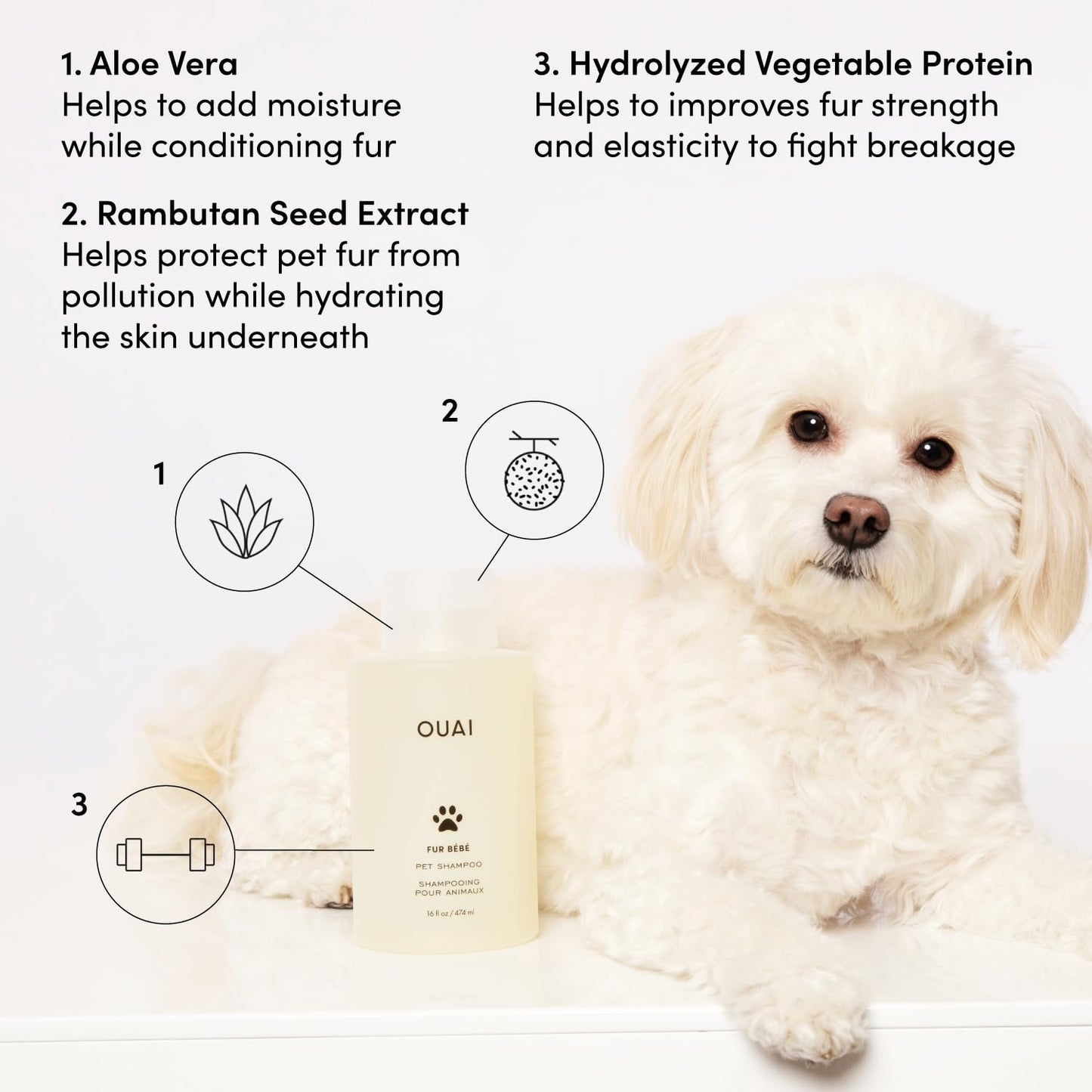 OUAI Fur Bébé Pet Shampoo - Cat & Dog Shampoo for Gentle Cleansing, Hydration & Shine - Vegan & Cruelty-Free Pet Supplies with Aloe Vera & Panthenol - Mercer Street Scent (16 Fl oz)
