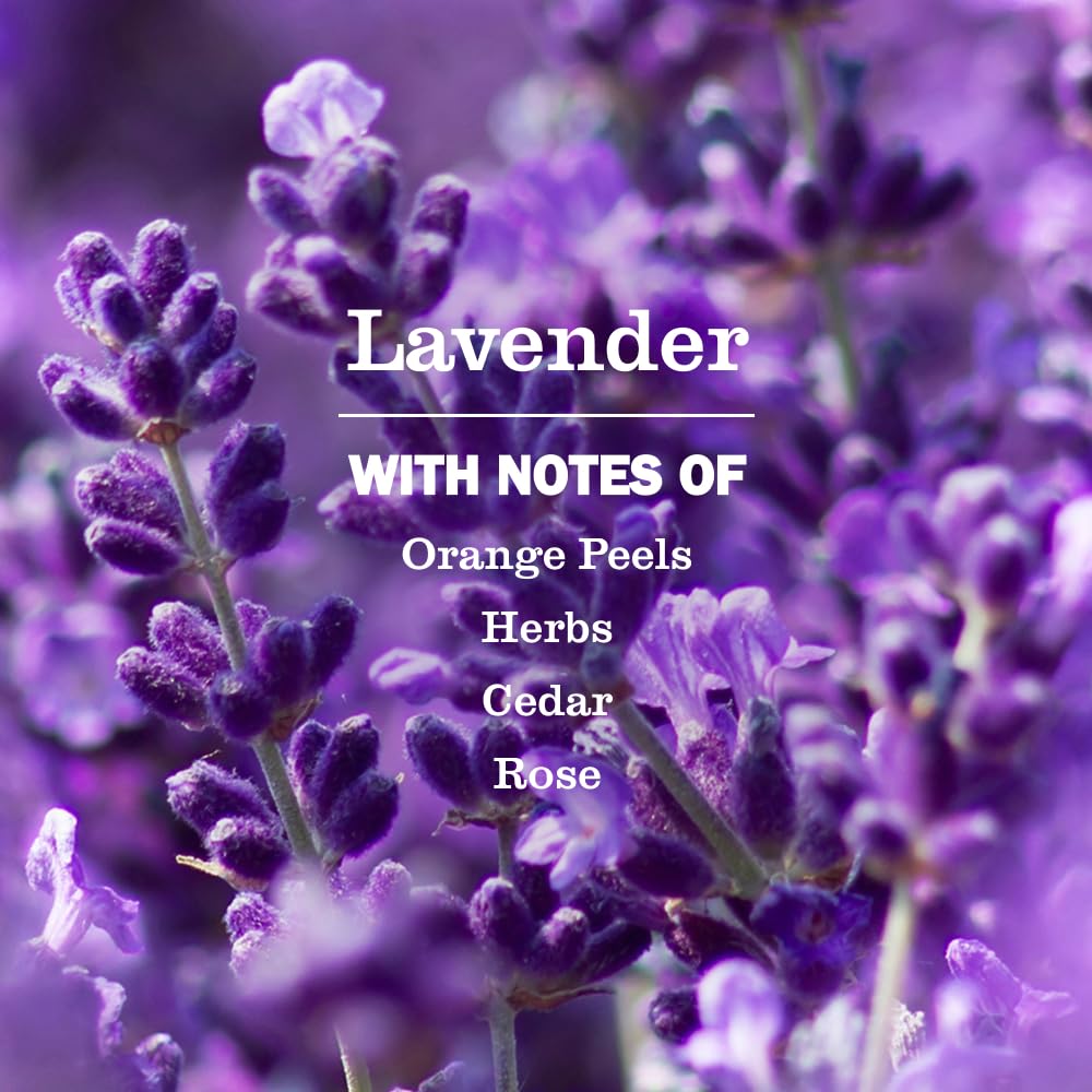 MRS. MEYER'S CLEAN DAY Dryer Sheets, Lavender, 80 ct