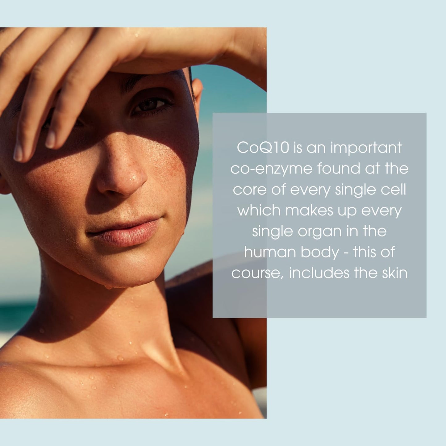 Consult Beaute XTERNA-Q COEnzyme Q10 Anti-Aging Serum for Face and Neck, Smoothing CoQ10 Peptides, Bergamot Fruit Oil, Antioxidant Skin Care 1 Fl. Oz.