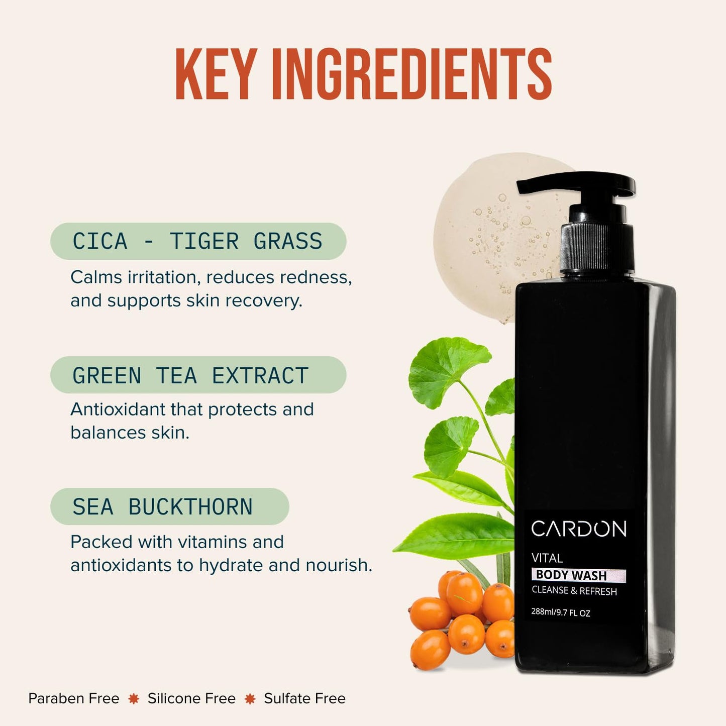 Cardon Acne Clearing Men's Body Wash, Korean Skin Care, All Natural Green Tea Extract, Sea Buckthorn, & Cica Combat Breakouts, Prevent Body Odor to Deeply Cleanse w/o Stripping (1 PK)