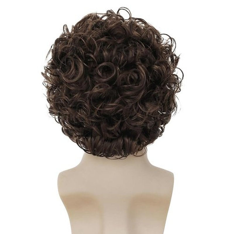 Tseses Curly Brown Short Wigs for Men Layered Fluffy Synthetic Fiber Wigs for Daily Party Mens Costume Wig
