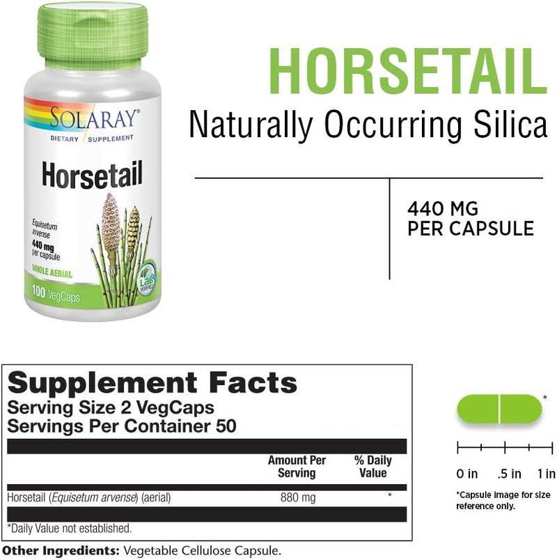 Horsetail Supplement - 880 mg Natural Silica Capsules for Overall Health | 100 Vegan Capsules