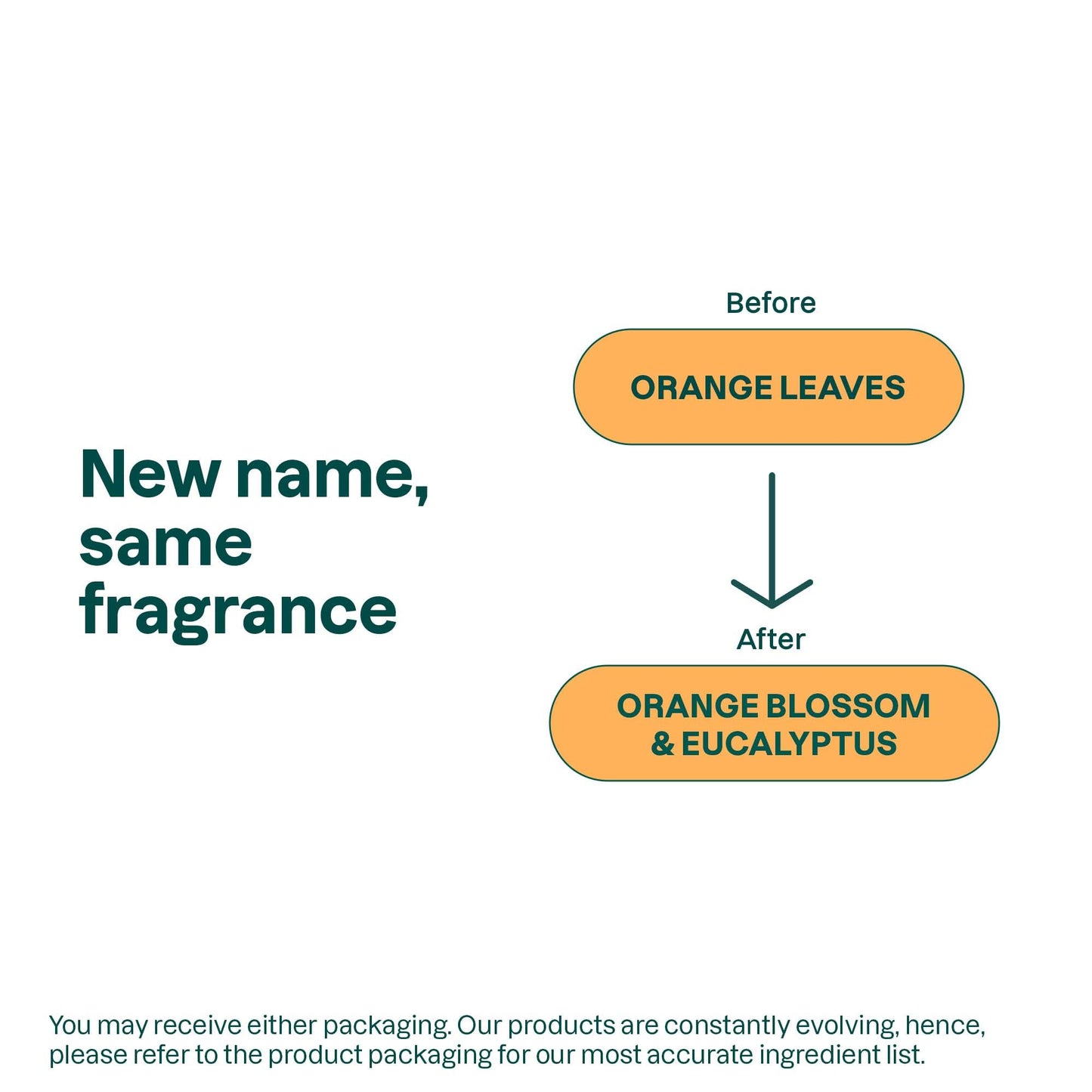 ATTITUDE Hand Cream, EWG Verified, Plant and Mineral-Based, Vegan Personal Care Products, Orange Blossom & Eucalyptus Scent, 2.5 Fl Oz