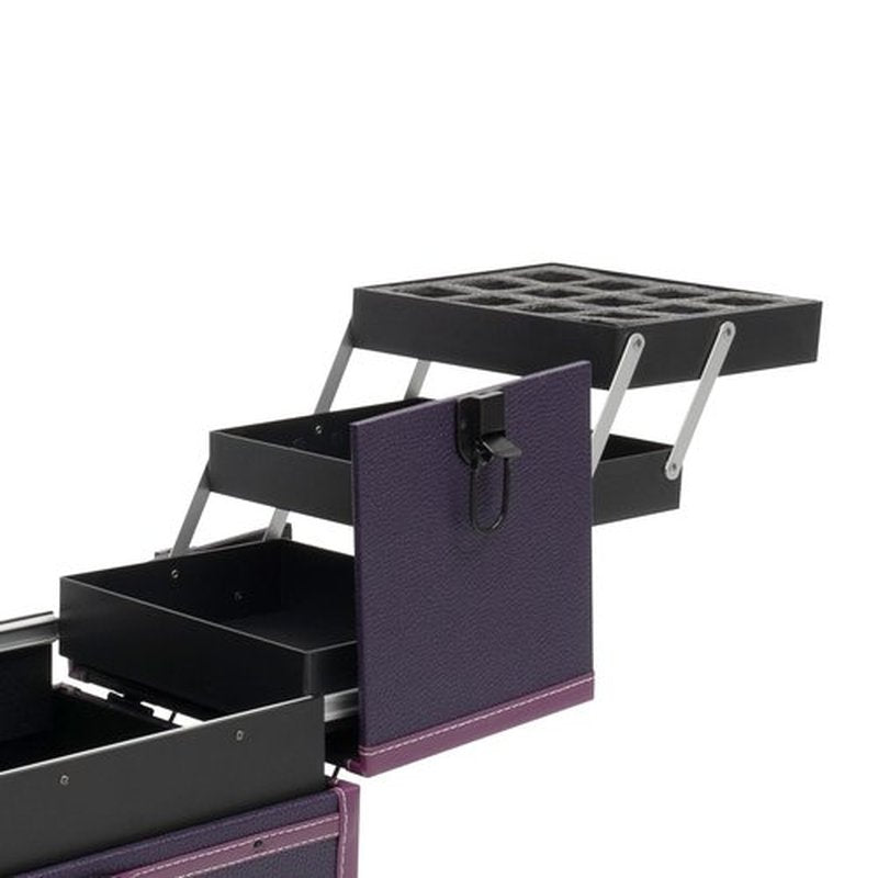 PalaUha Rolling Makeup Train Case Professional Cosmetic Organizer Trolley with Drawers Compartment Nail Case Wheeled Manicure Pedicure Storage Case for Hair Stylists Makeup Artists (Purple & Black A)