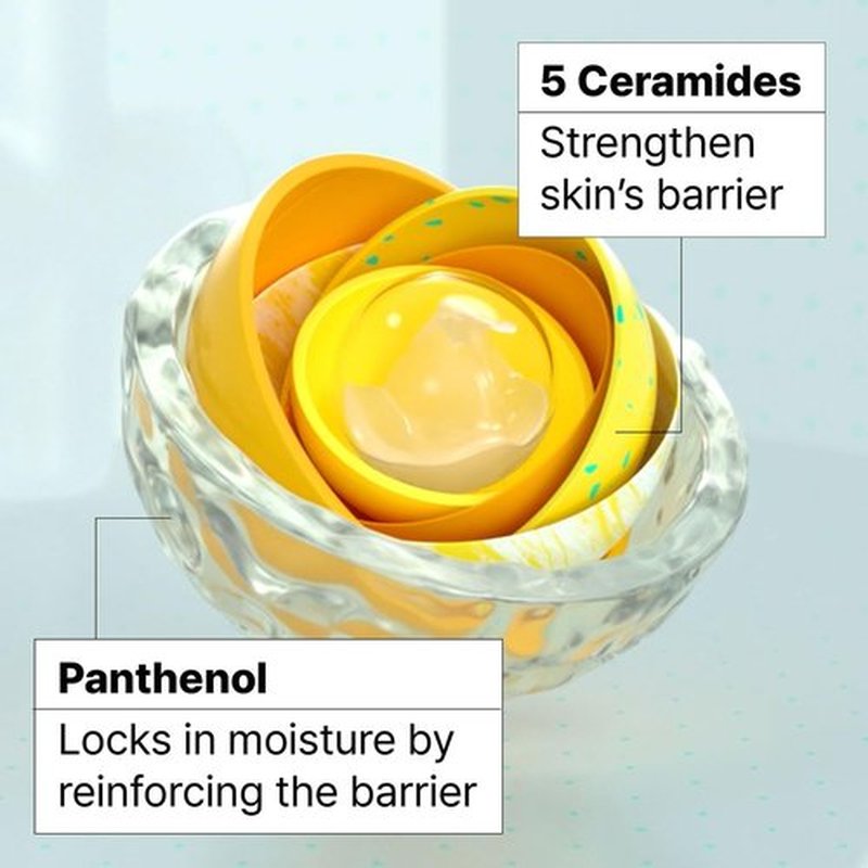 Dr.Jart+ Ceramidin Skin Barrier Moisturizer Face Cream For Dry Skin with Ceramides and Panthenol | Korean Skin Care 2.53 Fl Oz