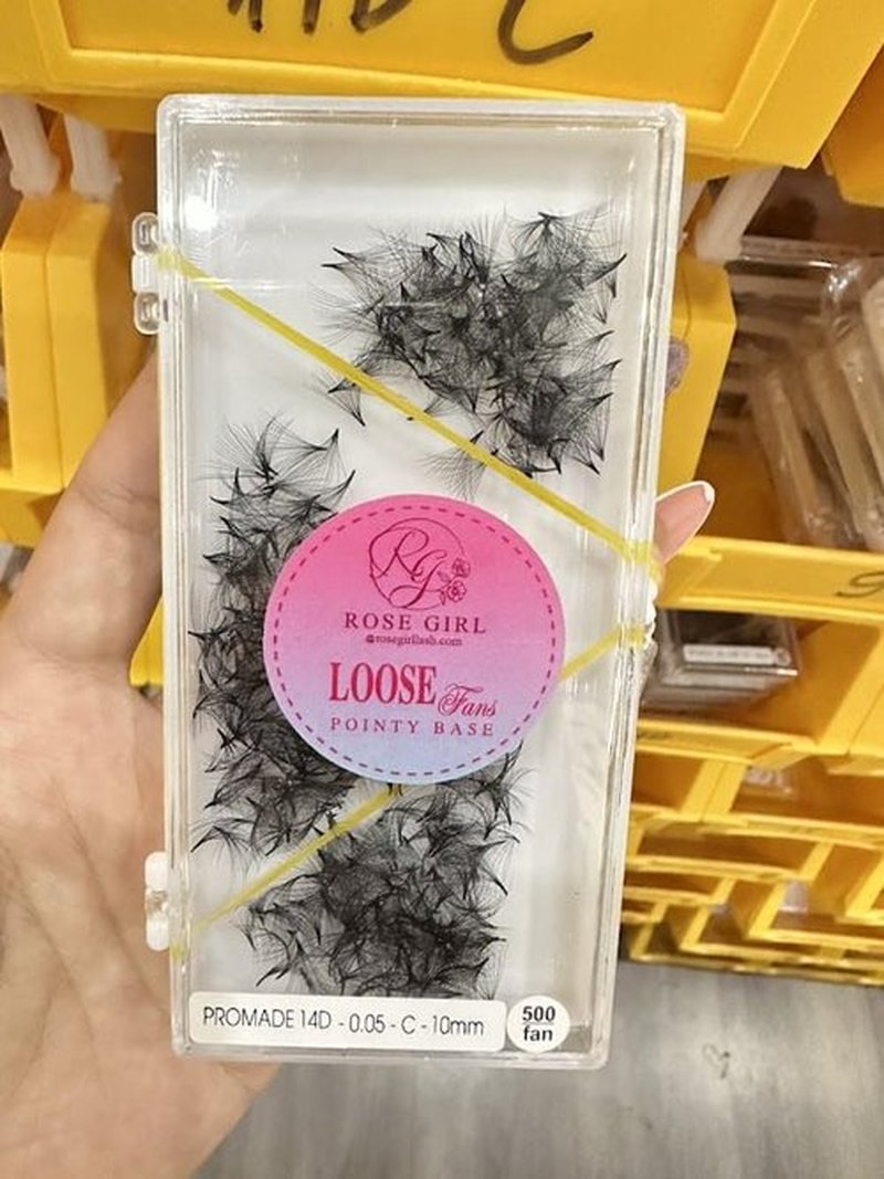 ROSE GIRL Loose Promade Fans - Natural Look Handmade Volume Eyelashes From 3D To 16D - C CC D DD Curl - False Lashes Extensions - Thickness 0.03~0.1 mm - 8~20 mm Length (14D-0.03-D (16mm))