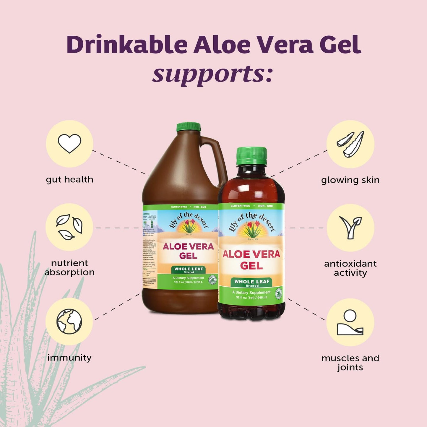 Lily Of The Desert Aloe Vera Gel, Preservative Free - Whole Leaf Filtered Thicker Consistency Aloe Vera Drink with Natural Vitamins, Digestive Enzymes for Gut Health, Wellness, Glowing Skin, 32 Fl Oz