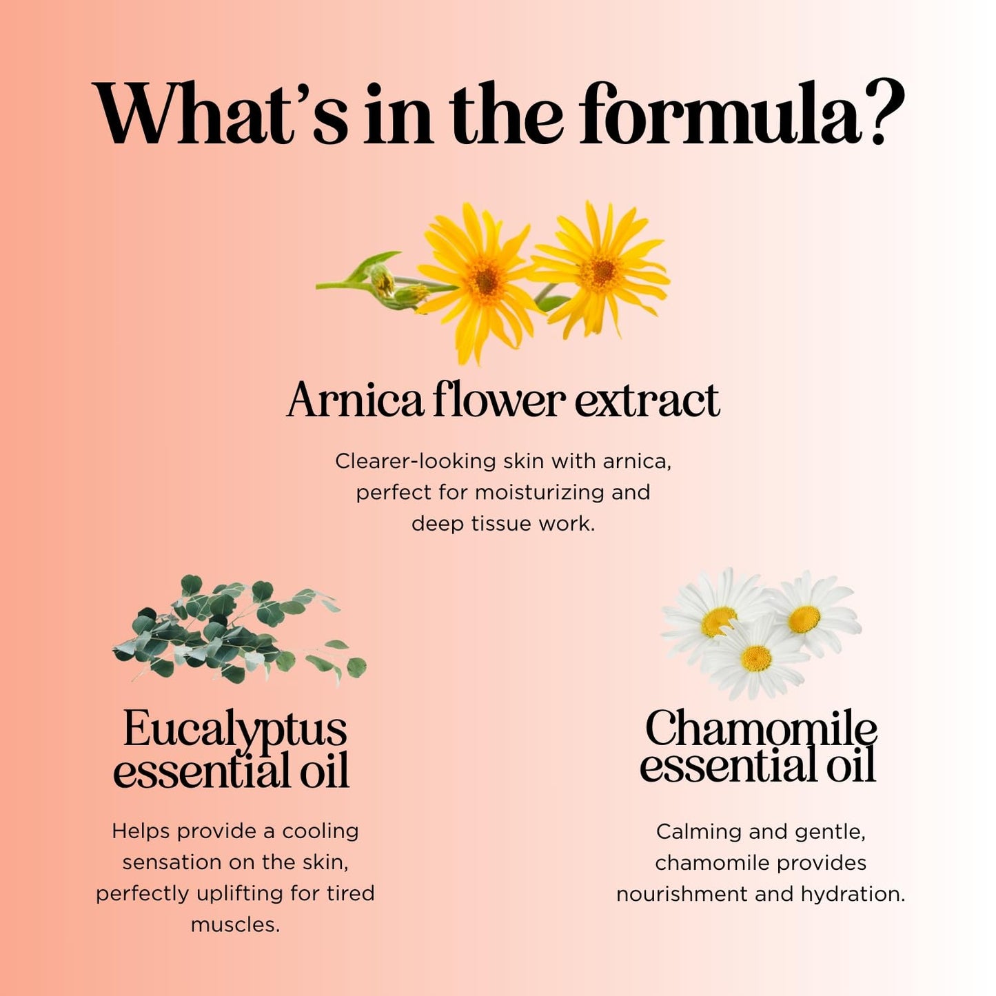 Arnica Massage Oil for Muscle Relaxing - Comforting Sore Muscle Massage Oil for Full Body Relief with Soothing Chamomile Lavender Peppermint & Rosemary Essential Oils - Vegan & Non GMO (8 Fl Oz)