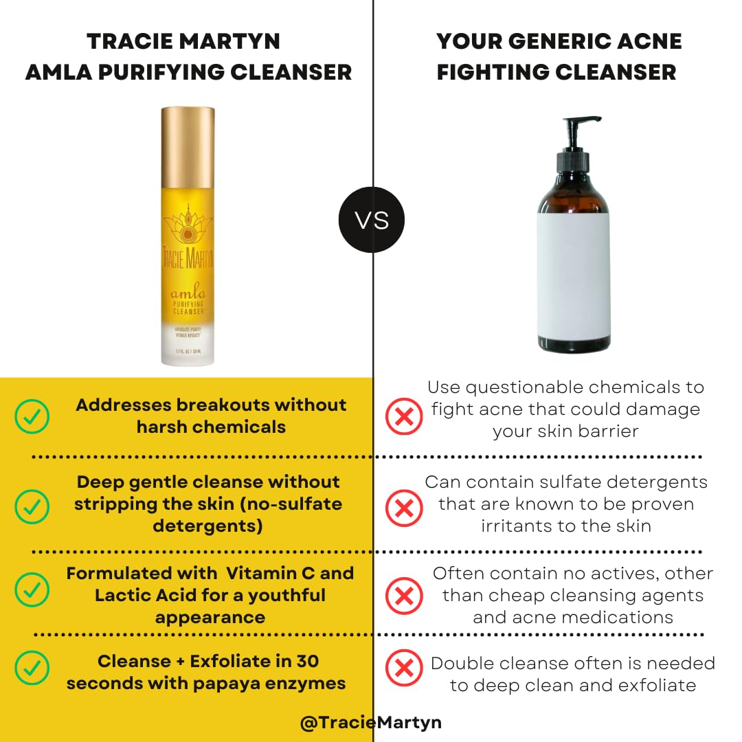 Tracie Martyn Women's Amla Purifying Cleanser