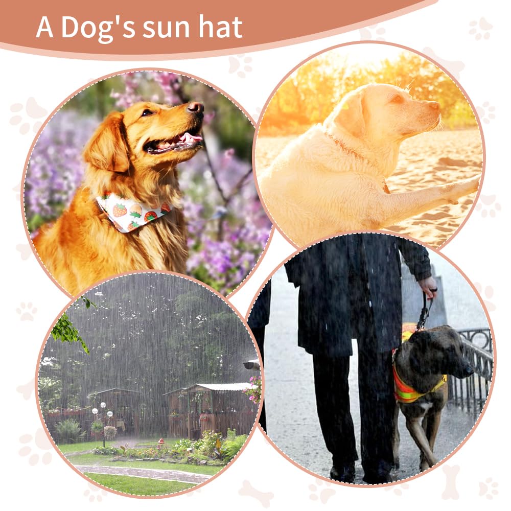 Auiepet Outdoor Sun Protection Hat for Dogs, Canvas Dog Hat with Ear Holes and Adjustable Neck Strap (Black, S)