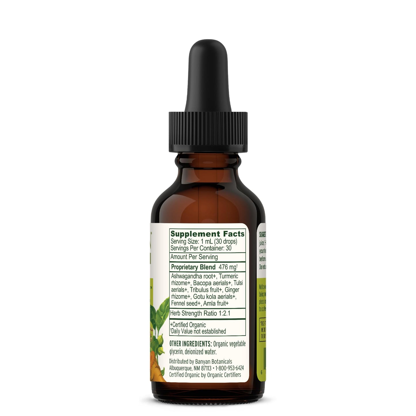 Banyan Botanicals I Travel Well Liquid Extract – Organic Fast-Acting Immune Support for Travel – with Ashwagandha and Ginger – 1 fl. oz. – Non GMO Sustainably Sourced Vegan