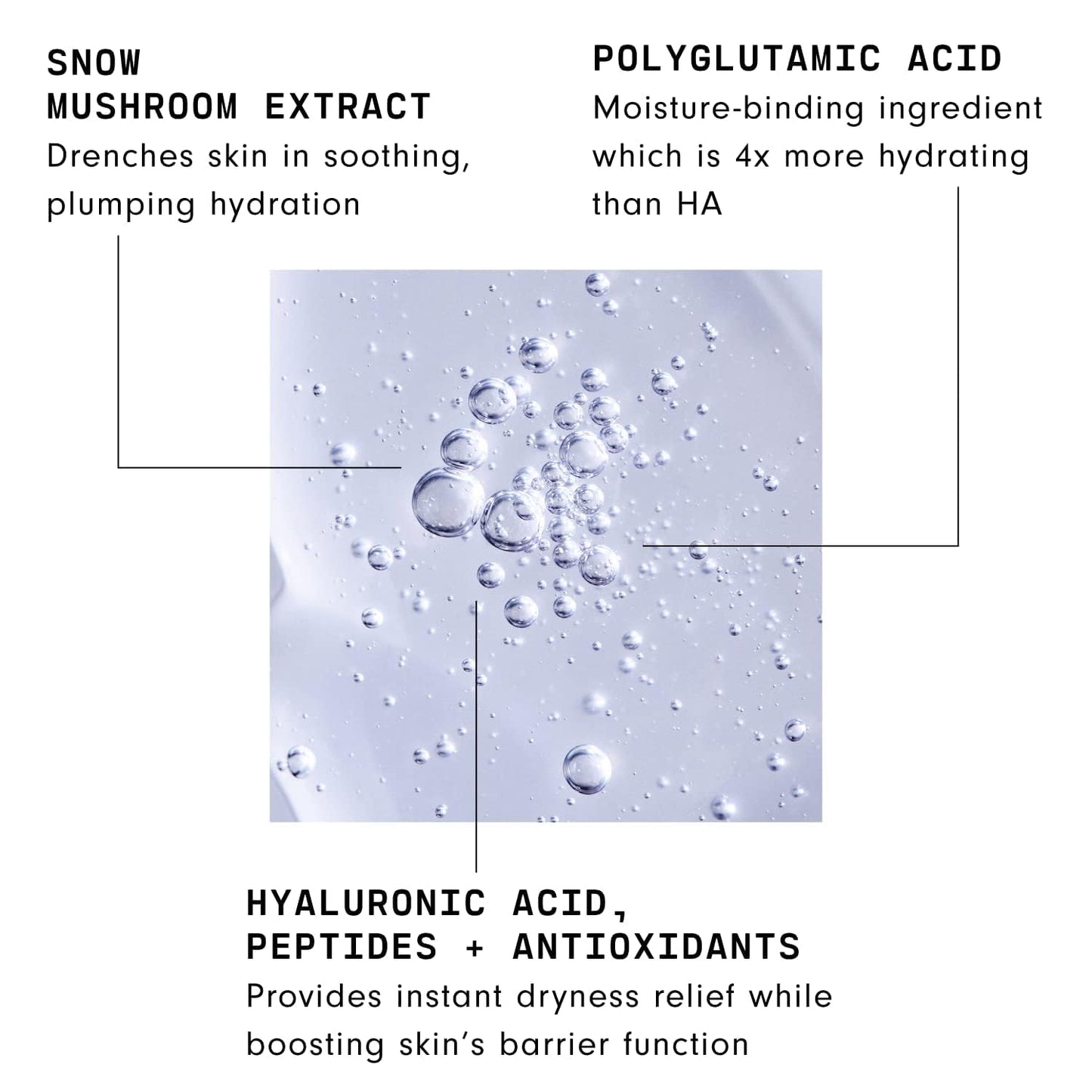 Versed Moisture Maker Hydrating Hyaluronic Serum - Lightweight Face Serum for Dry Skin With Moisturizing Polyglutamic Acid + Snow Mushroom Extract for Soothing + Plumping Hydration Day & Night (1oz)
