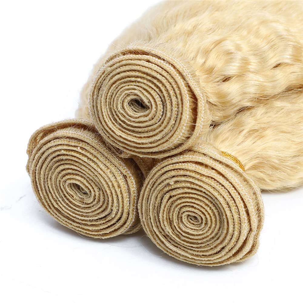 613 Bundles Honey Blonde Bundles 16 18 20 Inch Human Hair Bundles Brazilian Kinky Curly Hair 3 Bundles Unprocessed Virgin Hair Bundles Blonde Human Hair 3 Bundles Hair Extensions