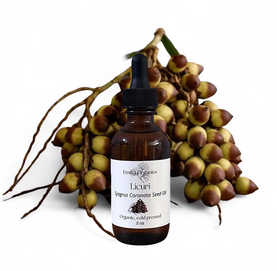 Licuri Seed Oil, Organic, Cold Pressed, Unrefined, Natural, 2 Fl Oz