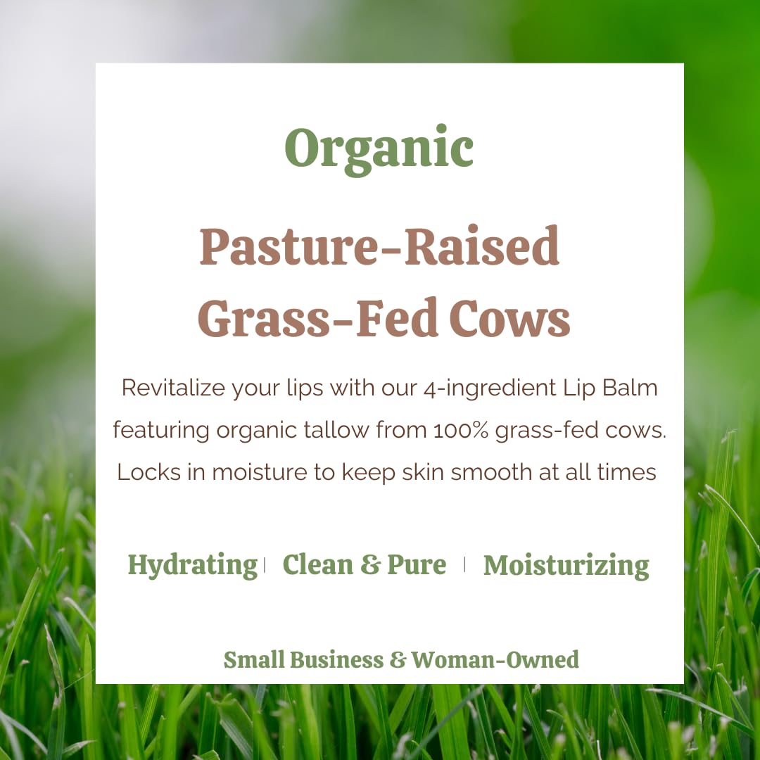 My Flexy 100% Organic Lip Balm Hydrating, Grass-Fed Beef Tallow Lip Balm, Made with Pasture Raised Tallow, Honey, Beeswax, & Orange Essential Oil, Lip Balms & Moisturizers - 1 Pack