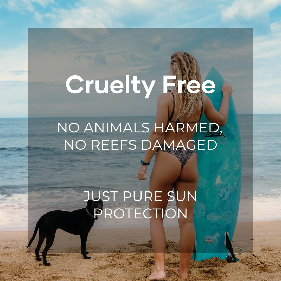 Coral Safe SPF 50 Face Stick Sunscreen, Hawaii & Mexico Approved, Biodegradable, Zinc, Vitamin E, Oxybenzone & Octinoxate Free, Water Resistant, Natural Ingredients, Made in USA by Coral Safe