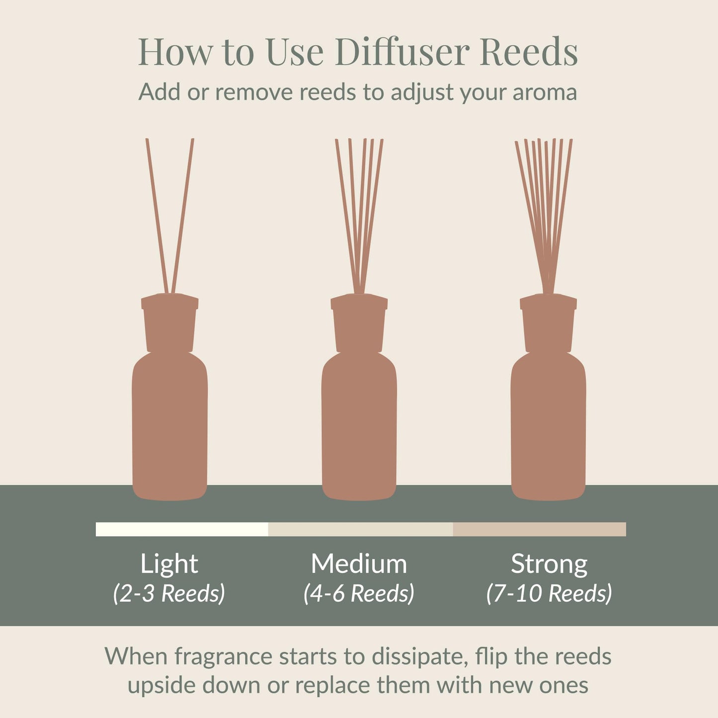 Archipelago Botanicals Lavande Reed Diffuser, Home Fragrance Reed Diffuser, Includes Fragrance Oil, Decorative Wooden Cap & 10 Diffuser Reeds, Perfect for Home, Office or Gift, 7.85 fl oz