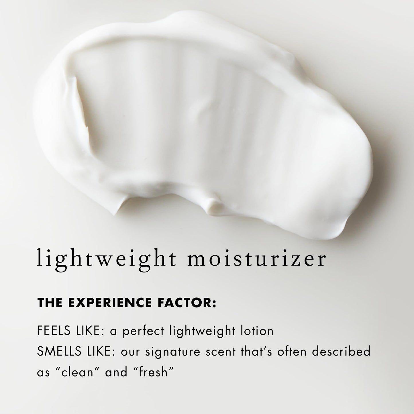 Bioelements Absolute Moisture - 2.5 fl oz - Lightweight Facial Moisturizer for Combination Skin - Smooth, Soft & Shine Free - Vegan, Gluten Free - Never Tested on Animals