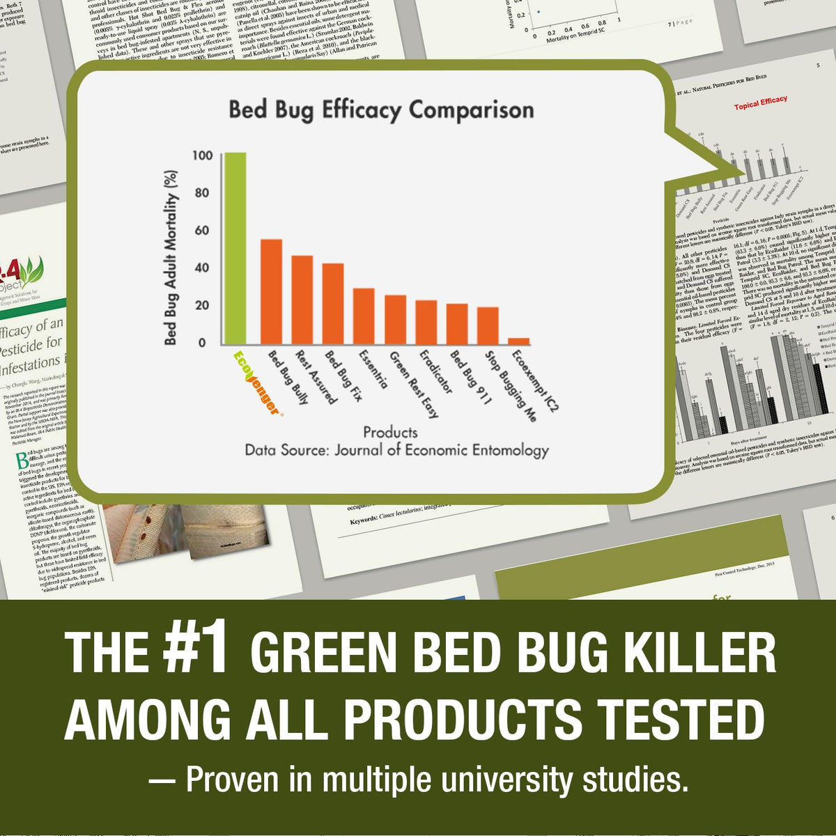 Bed Bug Killer 3 oz EcoVenger by EcoRaider,Travel Size,100% Kill Efficacy, Bedbugs & Mites, Eggs & The Resistant, USDA BIO-Certified, Plant Extract Based & Non-Toxic, Child & Pet Safe
