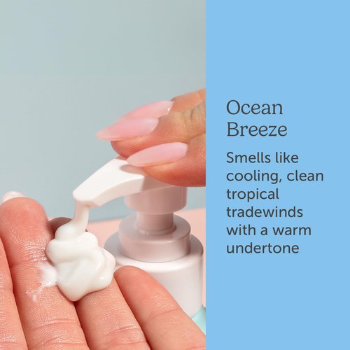 Nectar Life Hand Wash 14oz, Exfoliating and Moisturizing Hand Soap with Volcanic Pumice, Jojoba Oil & Shea Butter (Ocean Breeze)