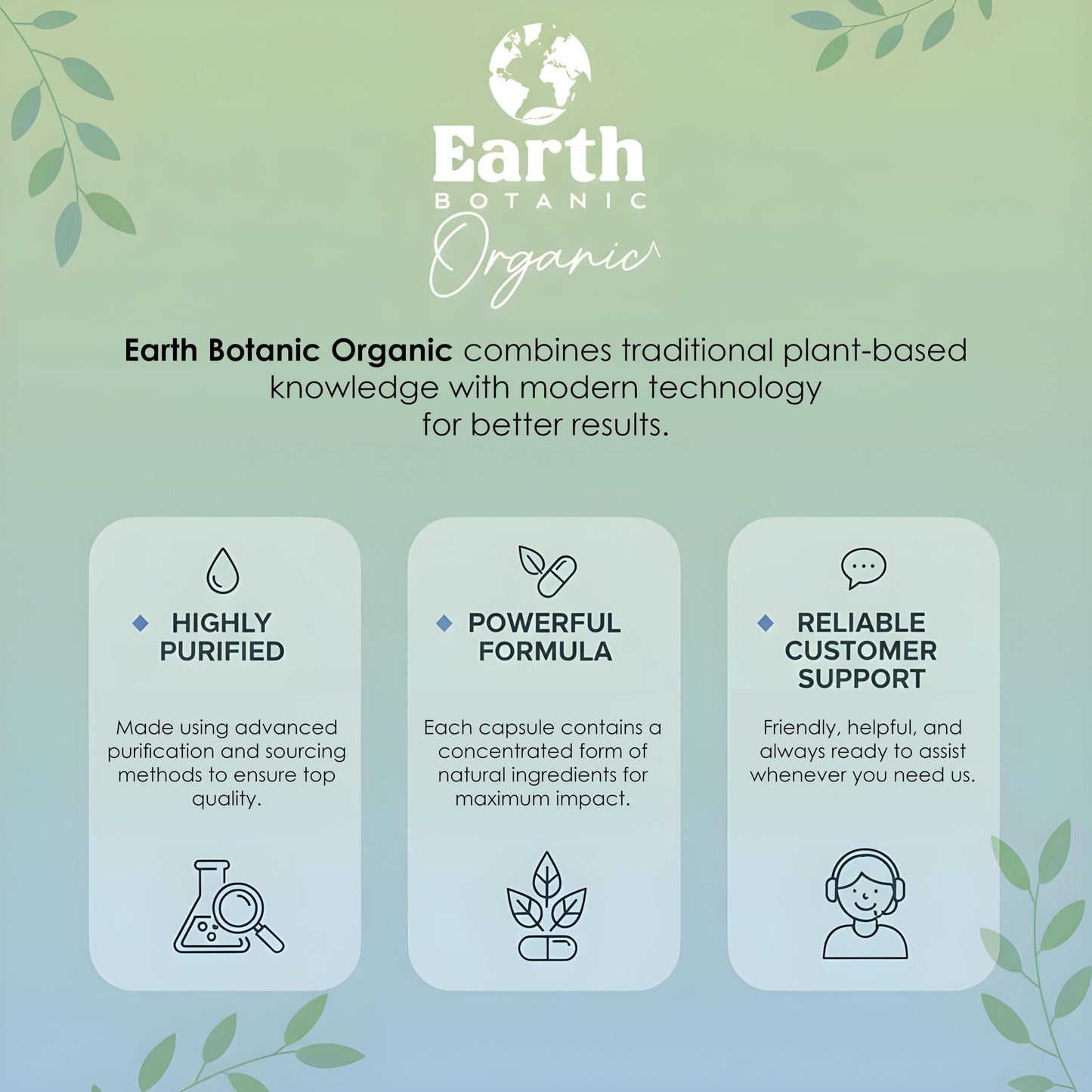 Earth BOTANIC Organic Apricot Extract, 1000 mg 120 Veggie Capsules (Vegan, Non-GMO) Herbal Supplements
