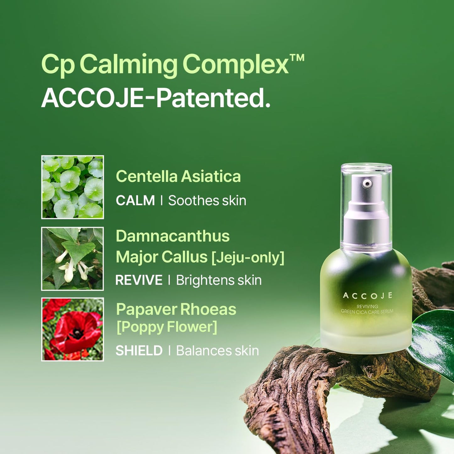 ACCOJE Reviving Green Cica Care Serum with Centella Asiatica, Hydrating & Calming Facial Serum, Jeju Botanical Korean Skin Care, Radiant and Healthy-Looking Skin (1.69 fl. oz)