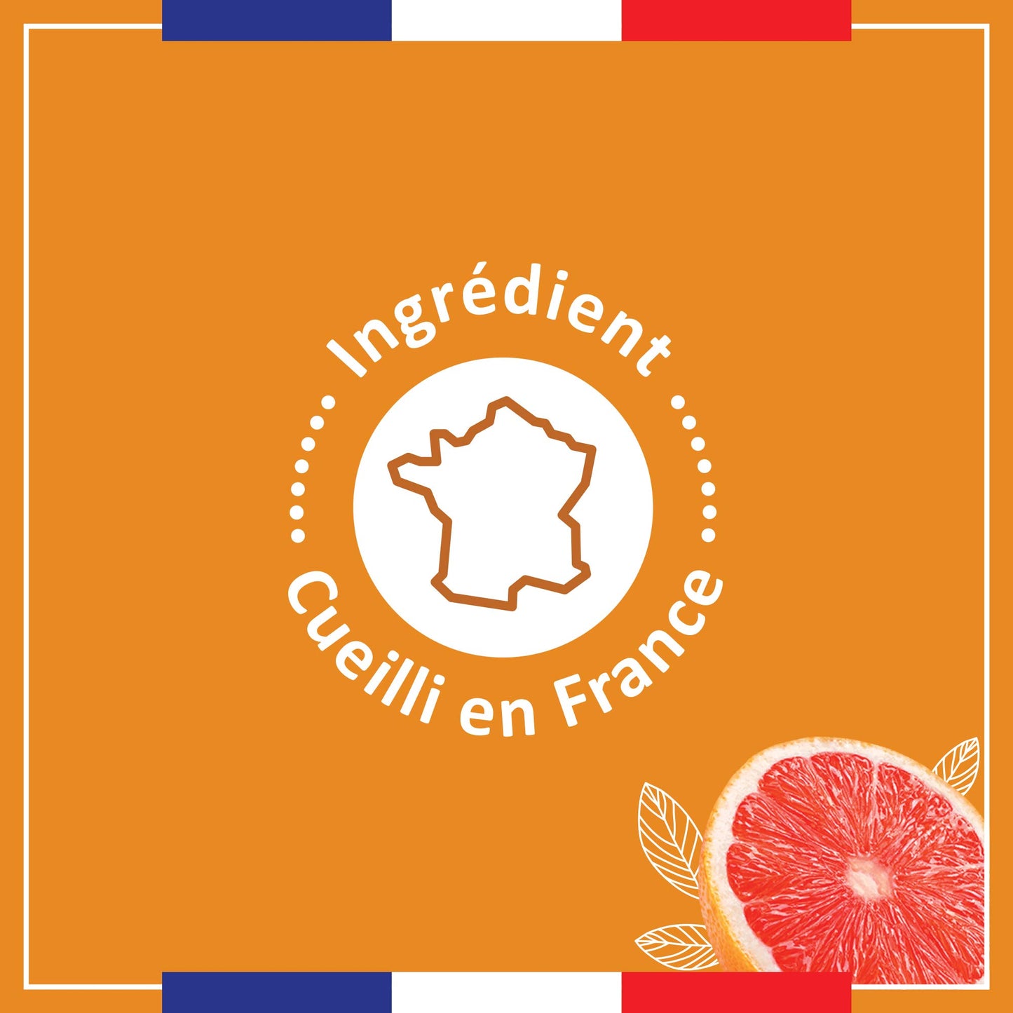 Le Petit Marseillais Shower Cream (Orange & Grapefruit)