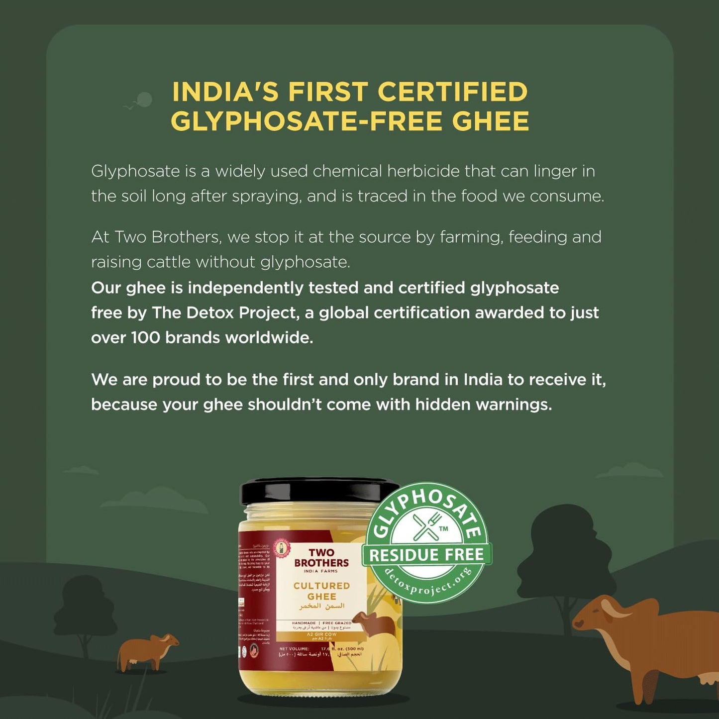 A2 Ghee Butter Grass Fed from Gir Cow | Gut Friendly | Healthy Butter Alternative | Non-GMO, Lactose-Free, Keto Friendly – 16 Oz from Two Brothers India Farms