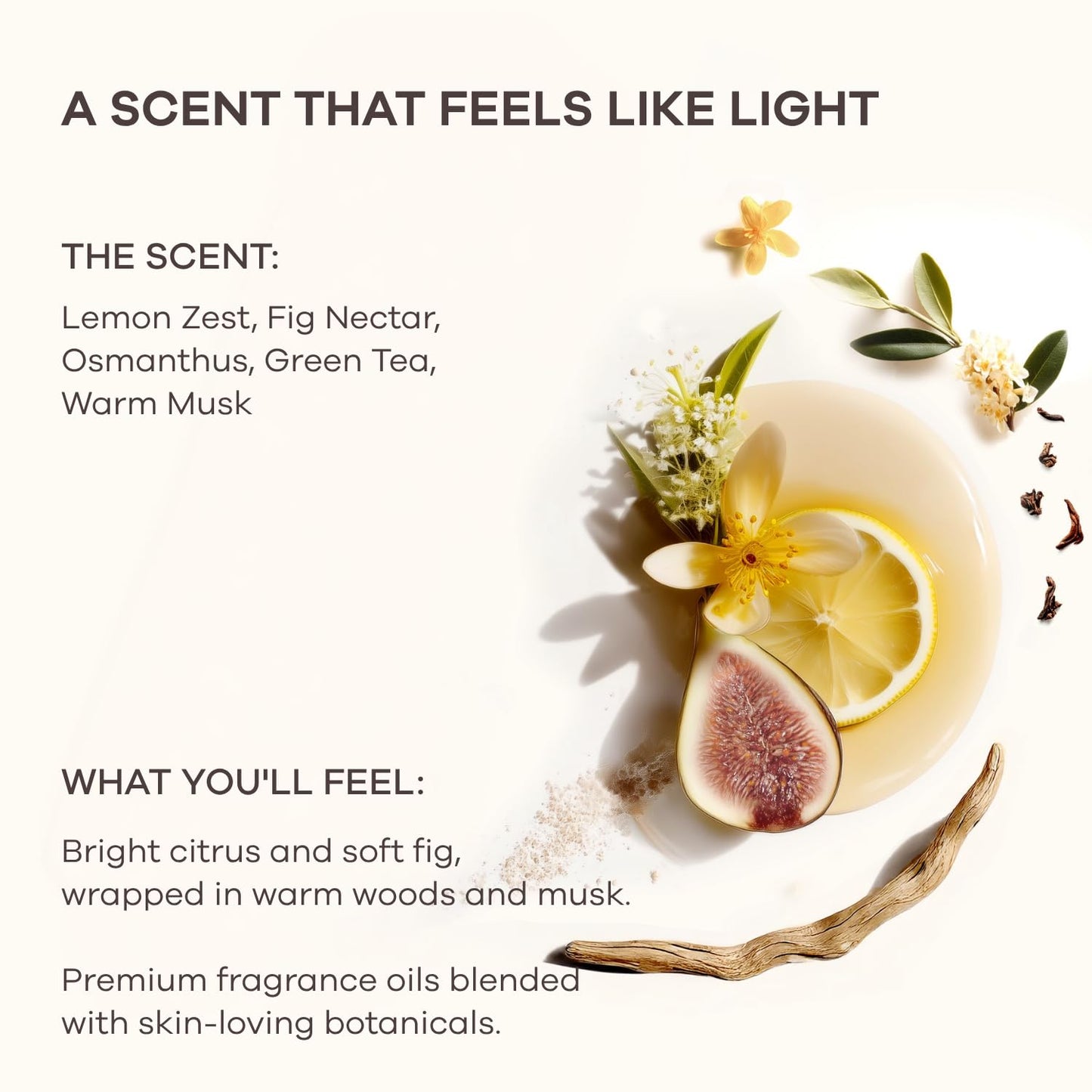 HedgeLeap Scented Body Lotion – Fragrance Moisturizer Cream Hydrating Formula Warm Fruity & Woody Perfume Scent | 2% Niacinamide & Hyaluronic Acid | Sunny Fig, 150 ml