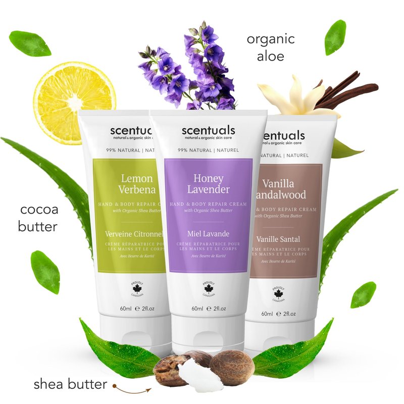 Scentuals Hand Cream Set of 3, with Shea Butter, Cocoa Butter, Argan & Almond oil, Moisturizing Dry Hands, (Lemon Verbena, Honey Lavender, Vanilla Sandalwood) 60 ml (2 fl.oz. x 3)