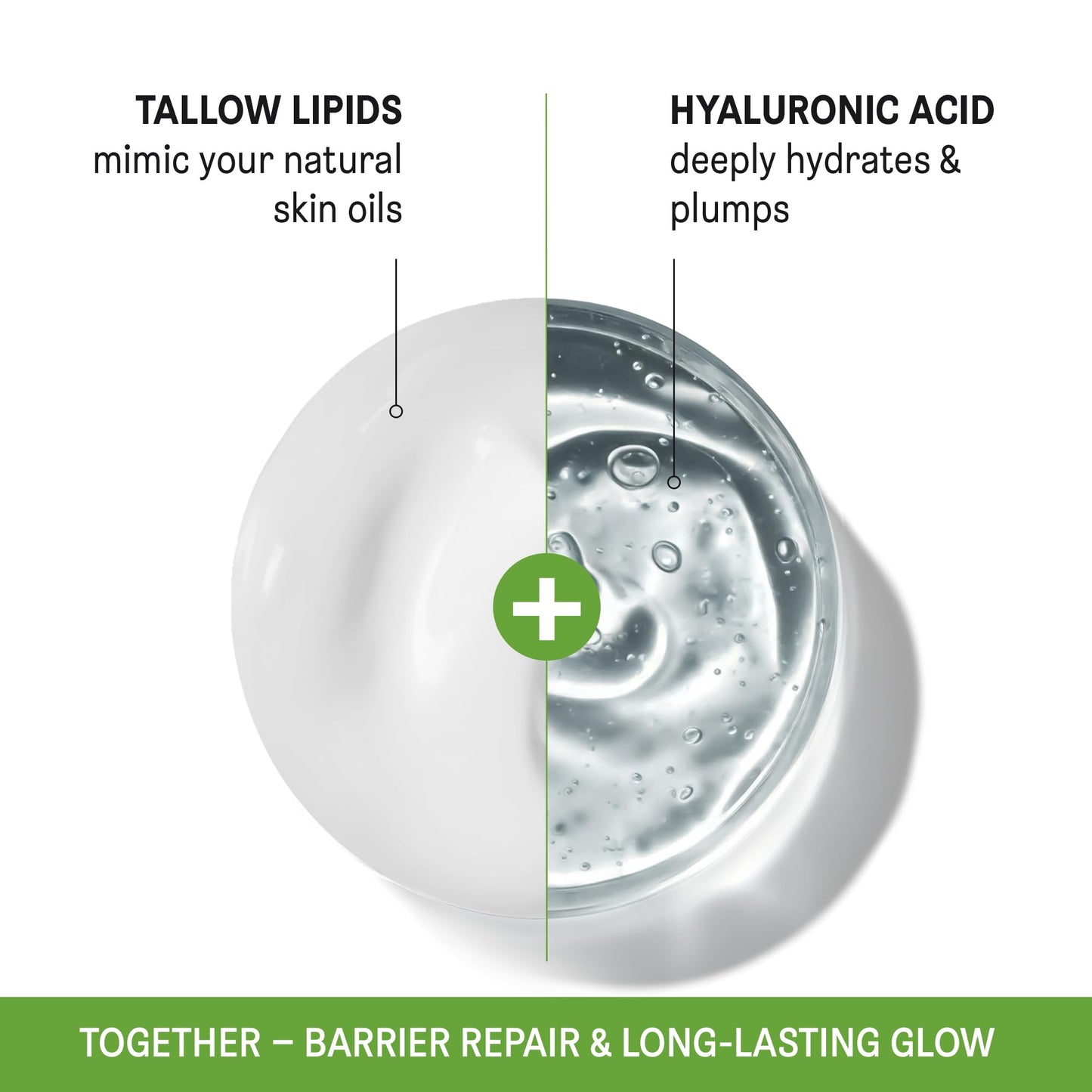 Beef Tallow for Skin and Face - Grass Fed Tallow and Honey Balm, All Natural Skin Care Moisturizer with Hyaluronic Acid - Day & Night Beef Tallow Face Cream for Dry, Sensitive Skin, Glass Jar 2.25 oz