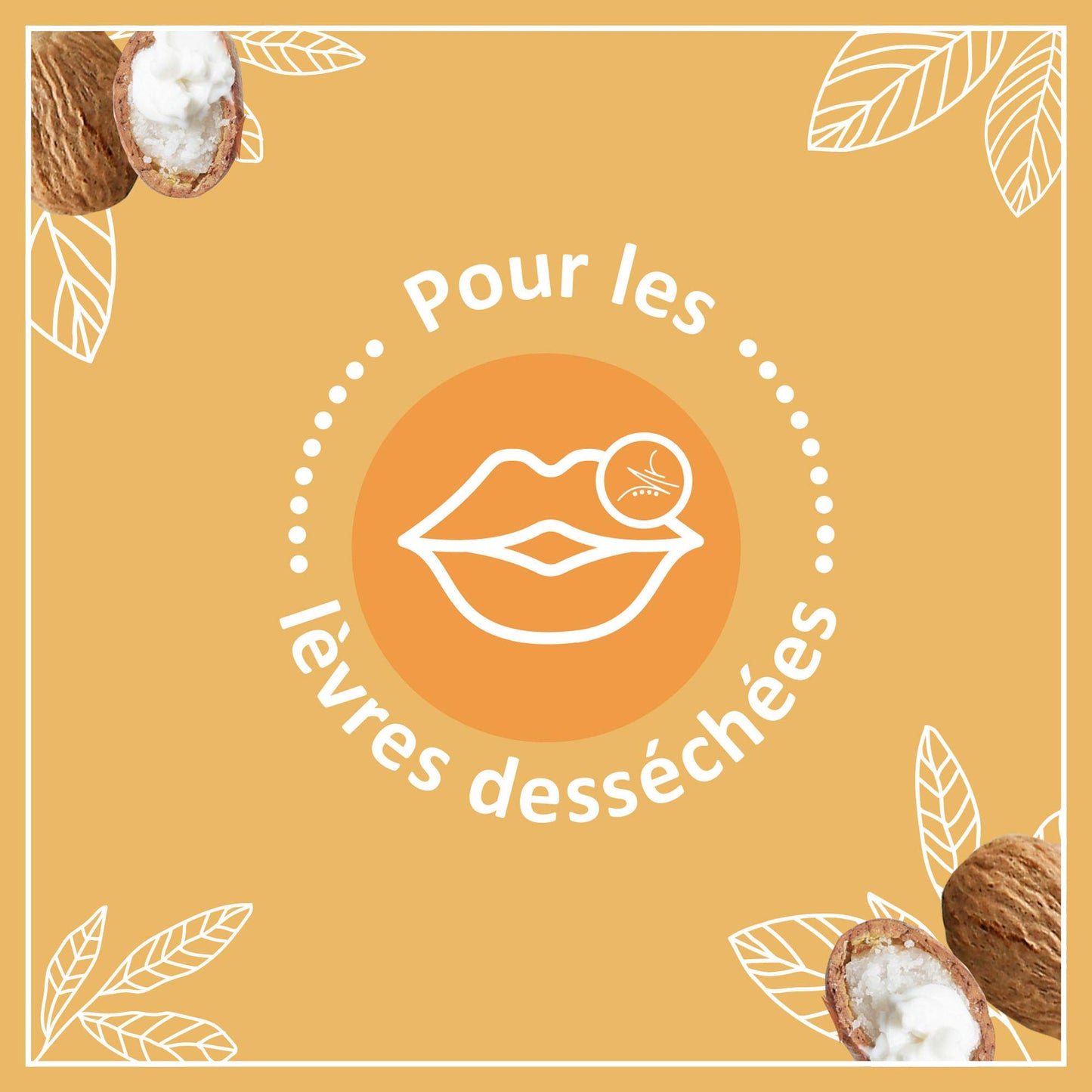 Le Petit Marseillais | Soin Lèvres Nutrition Lèvres Desséchées (2 tubes de 4,9 g) – Baume à lèvres au beurre de karité, amande douce et huile d'argan – Stick à lèvres nourrissant