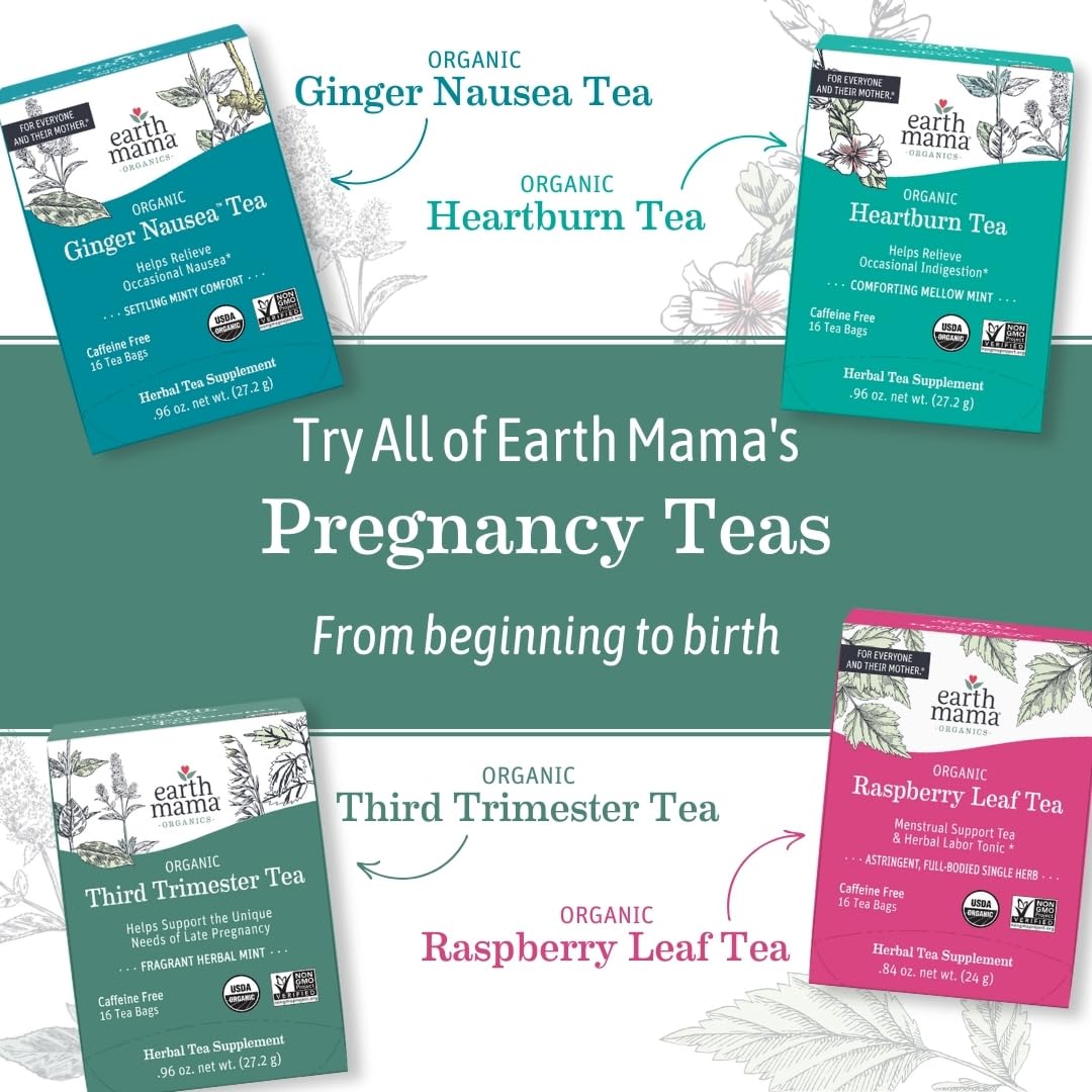 Earth Mama Organic Ginger Nausea™ Tea | Comforts Occasional Nausea + Morning Sickness, 16 Teabags Per Box