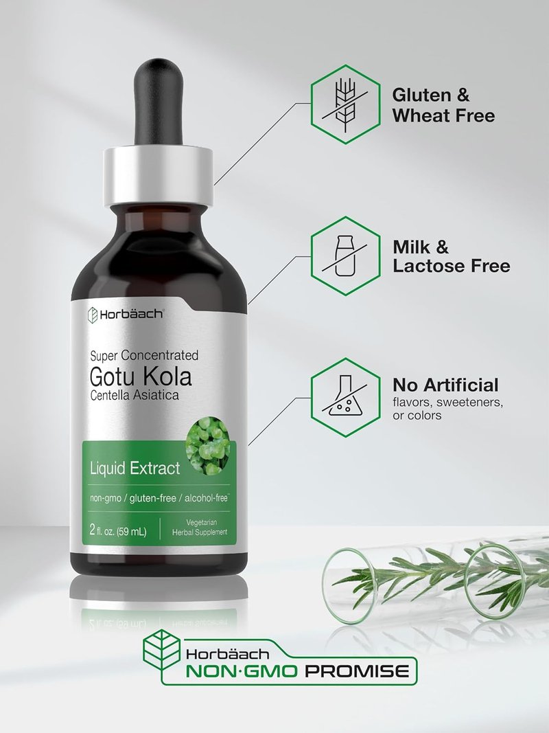 Gotu Kola Extract - Super Concentrated Herbal Supplement | Alcohol-Free, Vegetarian, Non-GMO, 2 fl oz