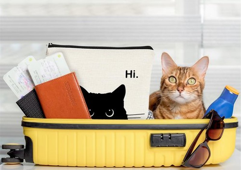 BARPERY Cat Makeup Bag,Cute Makeup Bag,Cat Lover Gifts For Women,Black Cat Gifts,Hi Cat Kitty Kitten Cats Cosmetic Bag Zipper Travel Toiletry Bag,Teen Girl Gifts,Cat Purse，Birthday Gift