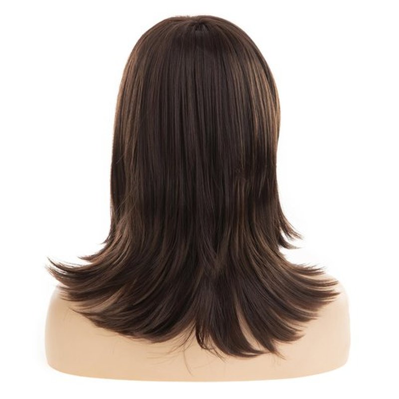 Dsimeig Layered Brown Wigs for Women Shoulder Length Straight Wig with Bangs Natural Synthetic Cosplay Replacement Hair Wig