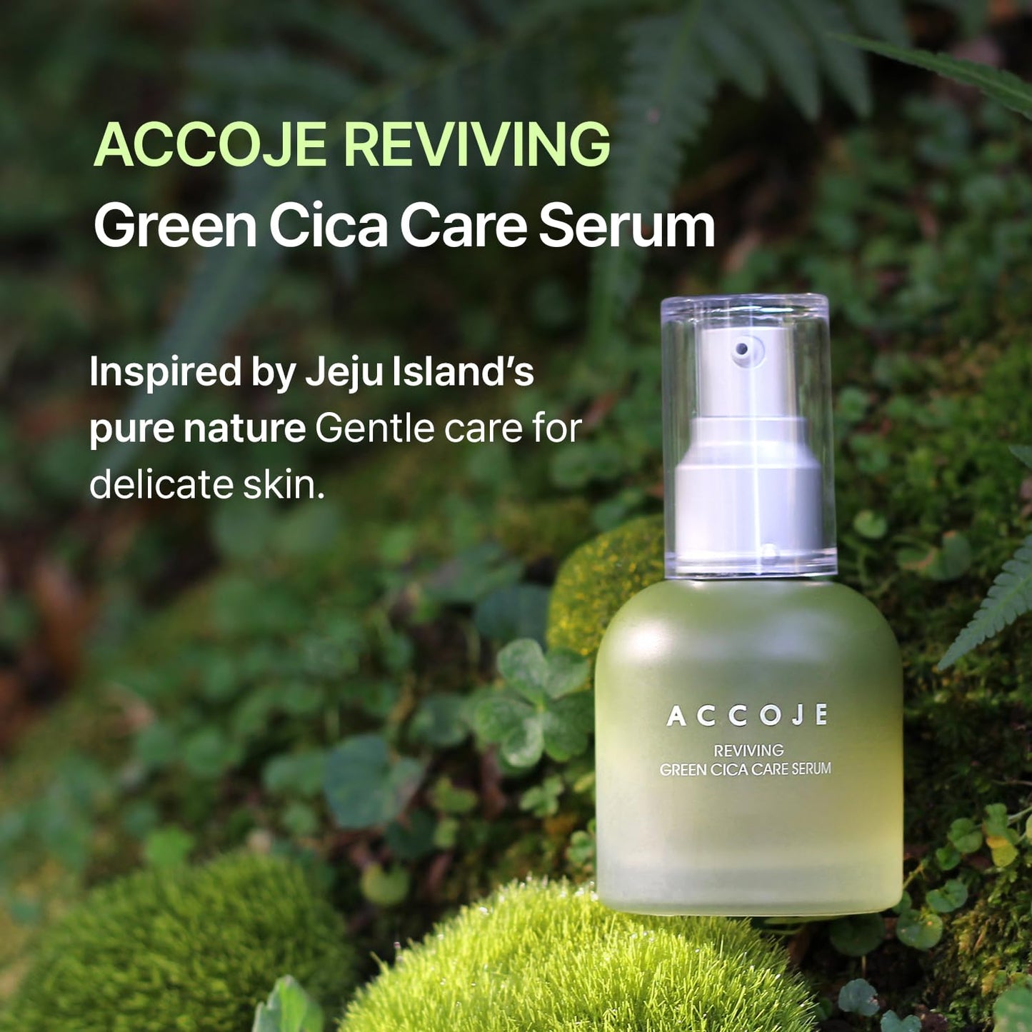 ACCOJE Reviving Green Cica Care Serum with Centella Asiatica, Hydrating & Calming Facial Serum, Jeju Botanical Korean Skin Care, Radiant and Healthy-Looking Skin (1.69 fl. oz)