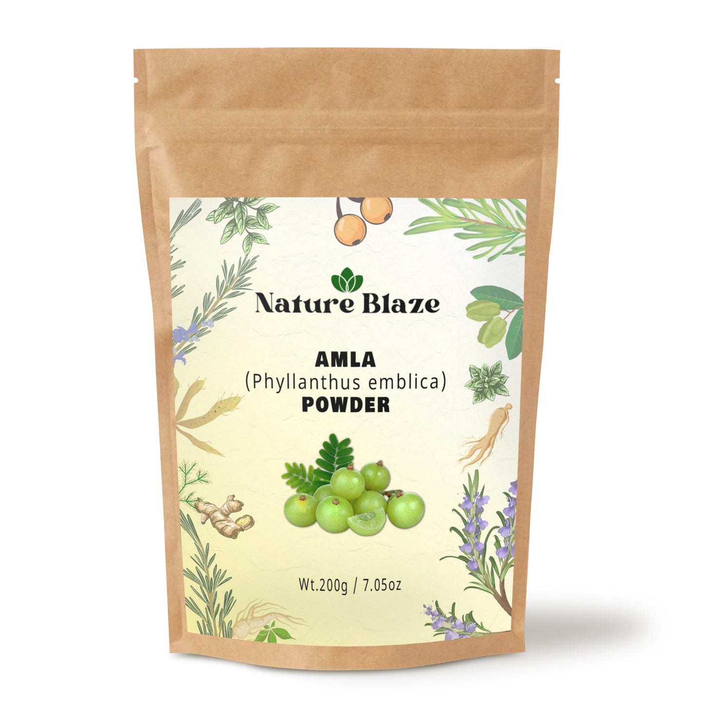 Nature Blaze Natural Amla Powder (Awla Powder) | Pure & Finely Ground | Made from Sun and Dried Indian Gooseberry | Traditional Herbal Ingredient for Hair, Skin & DIY Use 200Gram/7.0 Ounce