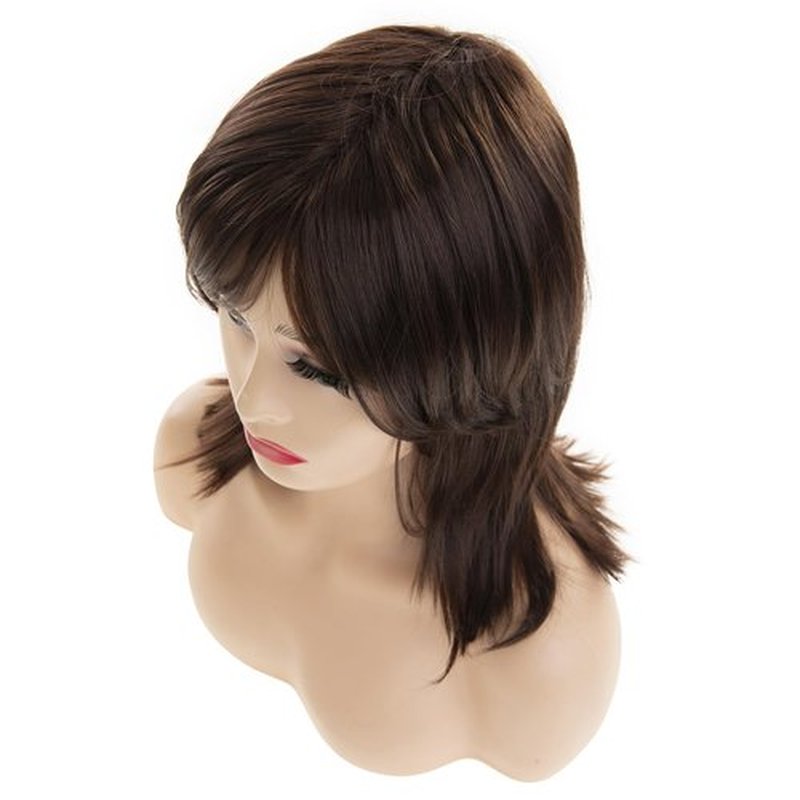 Dsimeig Layered Brown Wigs for Women Shoulder Length Straight Wig with Bangs Natural Synthetic Cosplay Replacement Hair Wig
