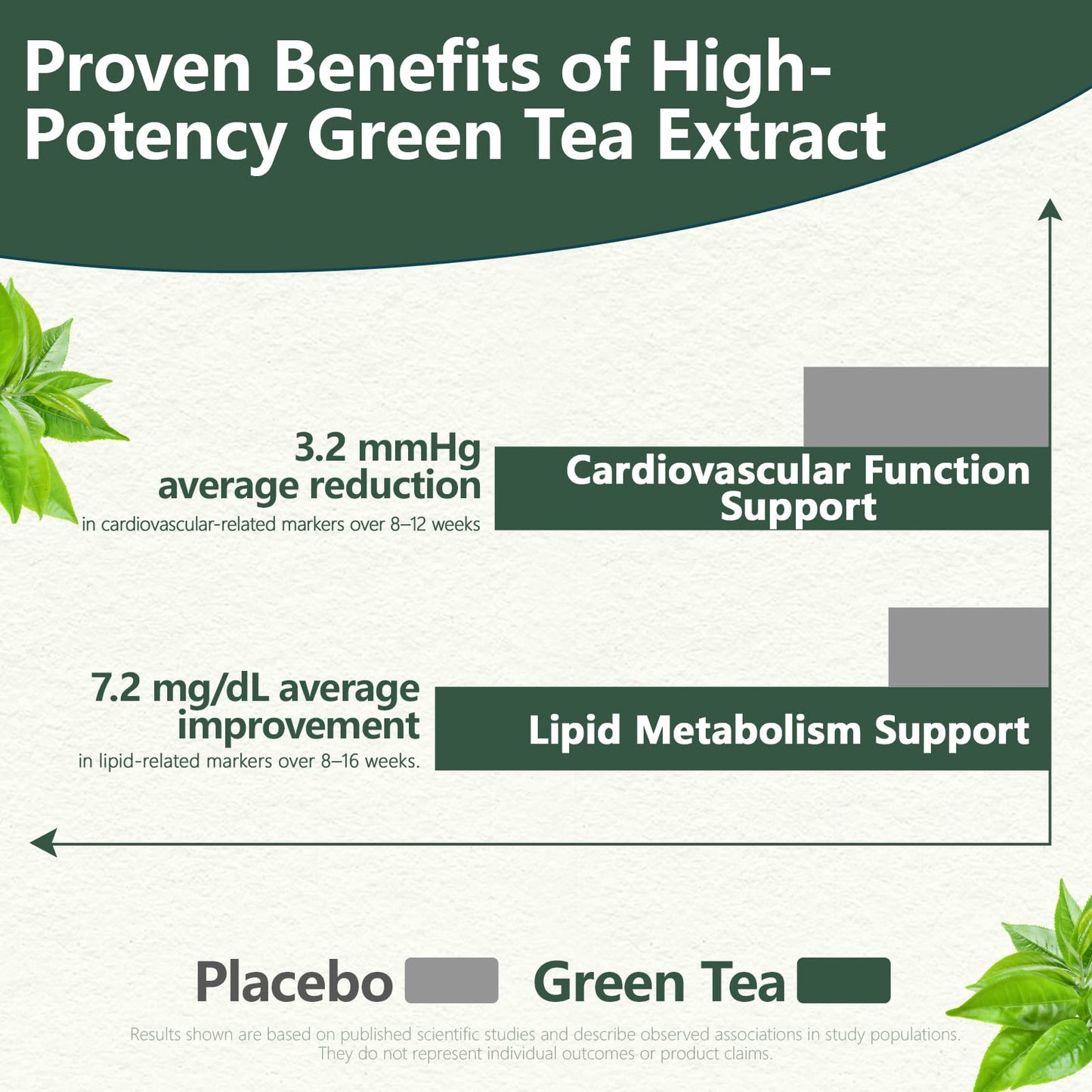 HyberVive Green Tea Extract 450MG, High-Potency 50% EGCG (Standardized), 98% Polyphenols & 80% Catechins, Antioxidant & Metabolic Support, Naturally Low in Caffeine, Non-GMO, Made in USA, 90 Capsules