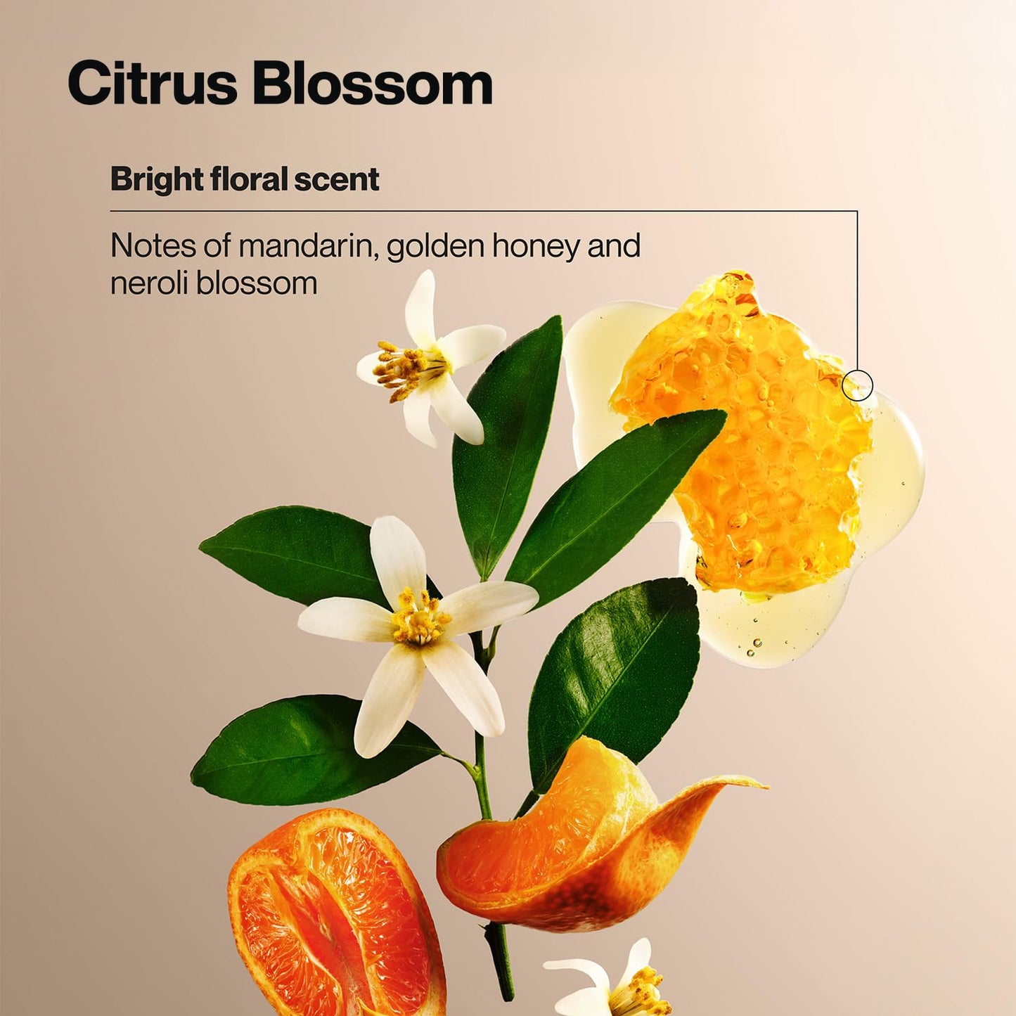 Suave Exfoliating Scrub + Wash Variety 2-Pack – Citrus Blossom & Vanilla Suede, Sulfate-Free Body Wash Set, 18 Oz Ea