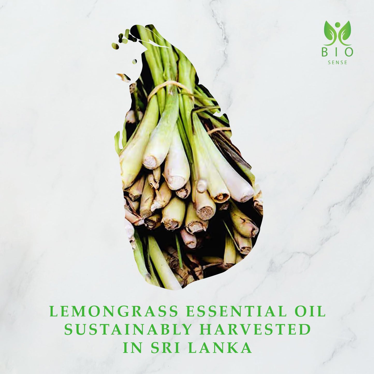 Bio Sense Organic Lemongrass Essential Oil |100% Pure & Organic Lemongrass Essential Oil | Use for Diffuser and Candle Making.