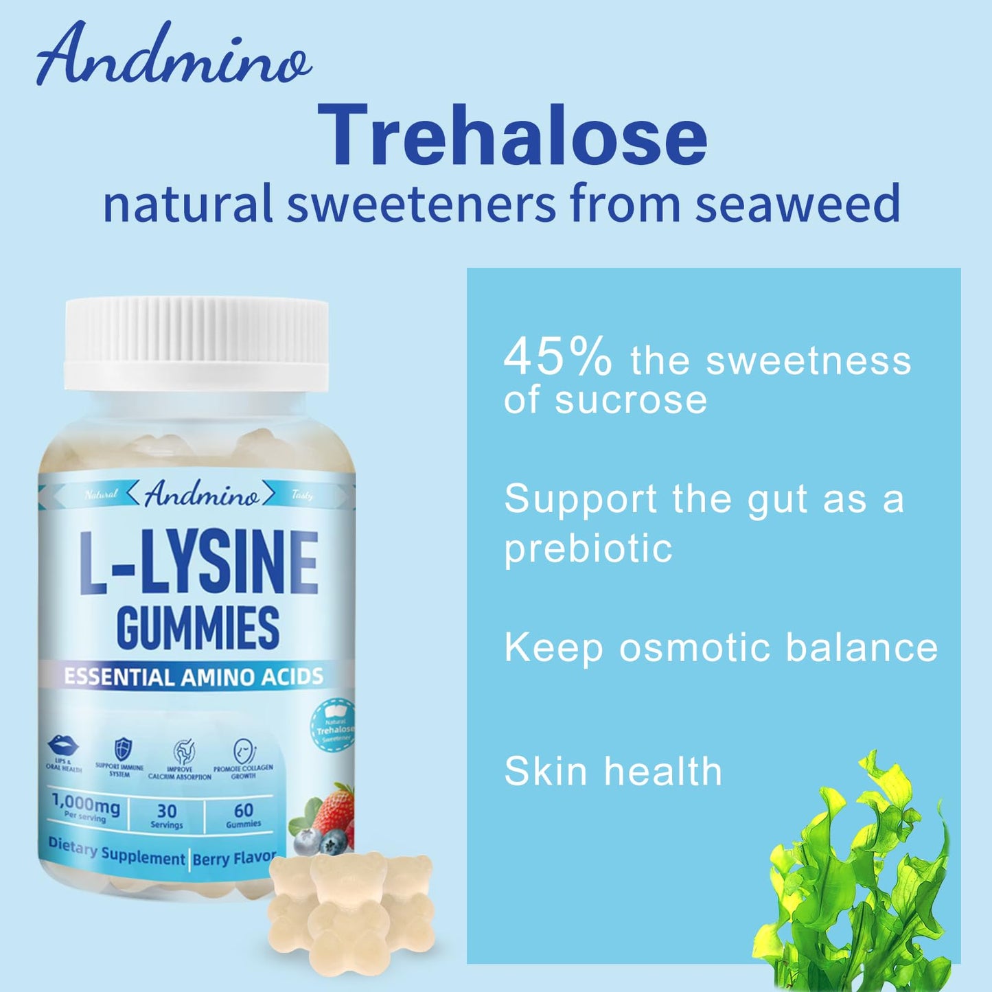 andmino L-Lysine Gummies 1000 mg, with Trehalose, L Lysine Gummies for Lips & Oral Wellness, Immune Support & Collagen & Calcium, for Adults & Kids, Non-GMO, Vegan, Gluten Free, Berry Flavor, 60
