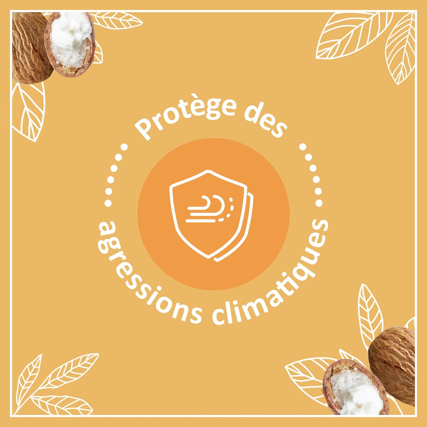 Le Petit Marseillais | Soin Lèvres Nutrition Lèvres Desséchées (2 tubes de 4,9 g) – Baume à lèvres au beurre de karité, amande douce et huile d'argan – Stick à lèvres nourrissant