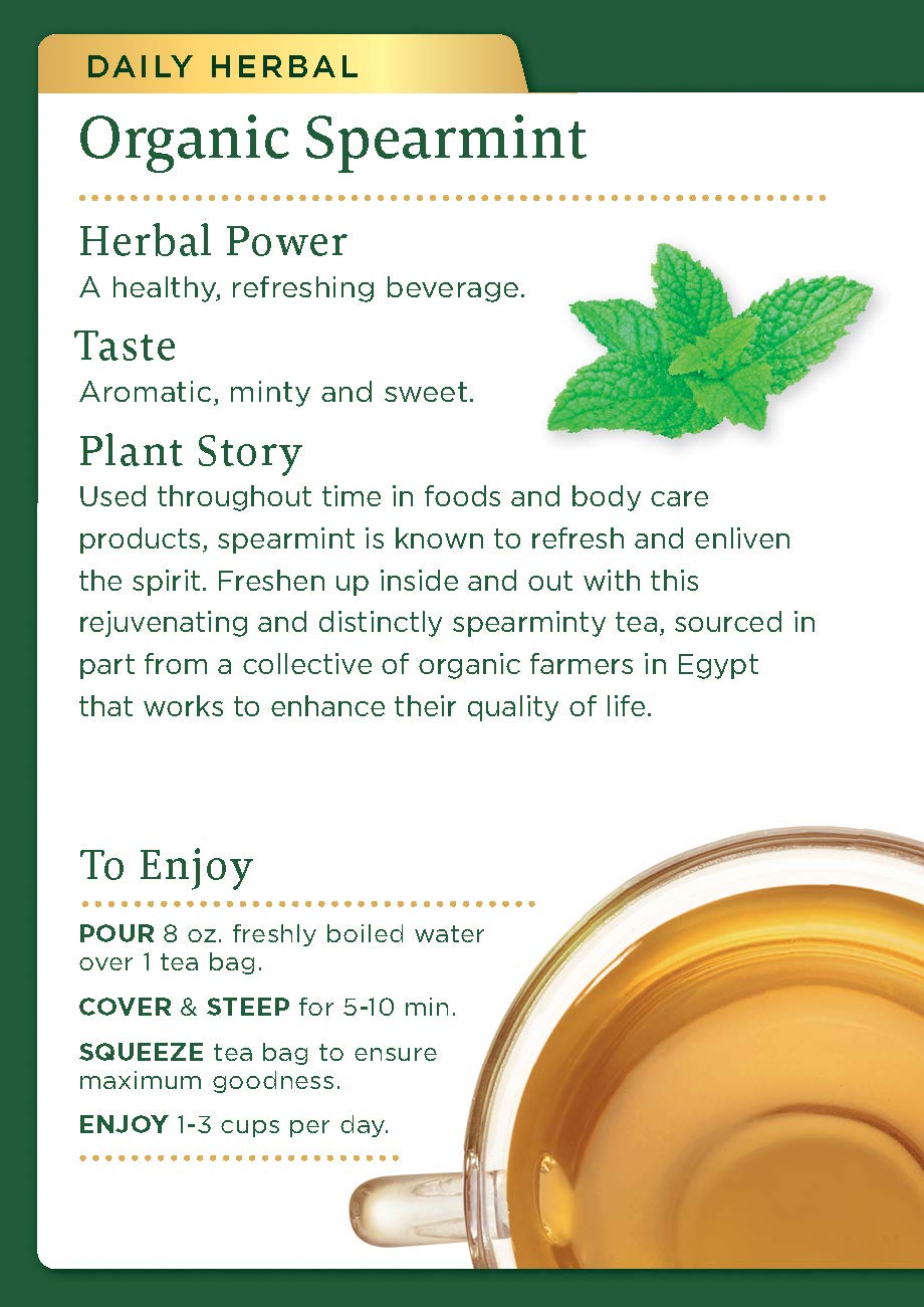 Traditional Medicinals Tea, Organic Spearmint, Supports Everyday Wellness, Healthy & Refreshing, 16 Tea Bags