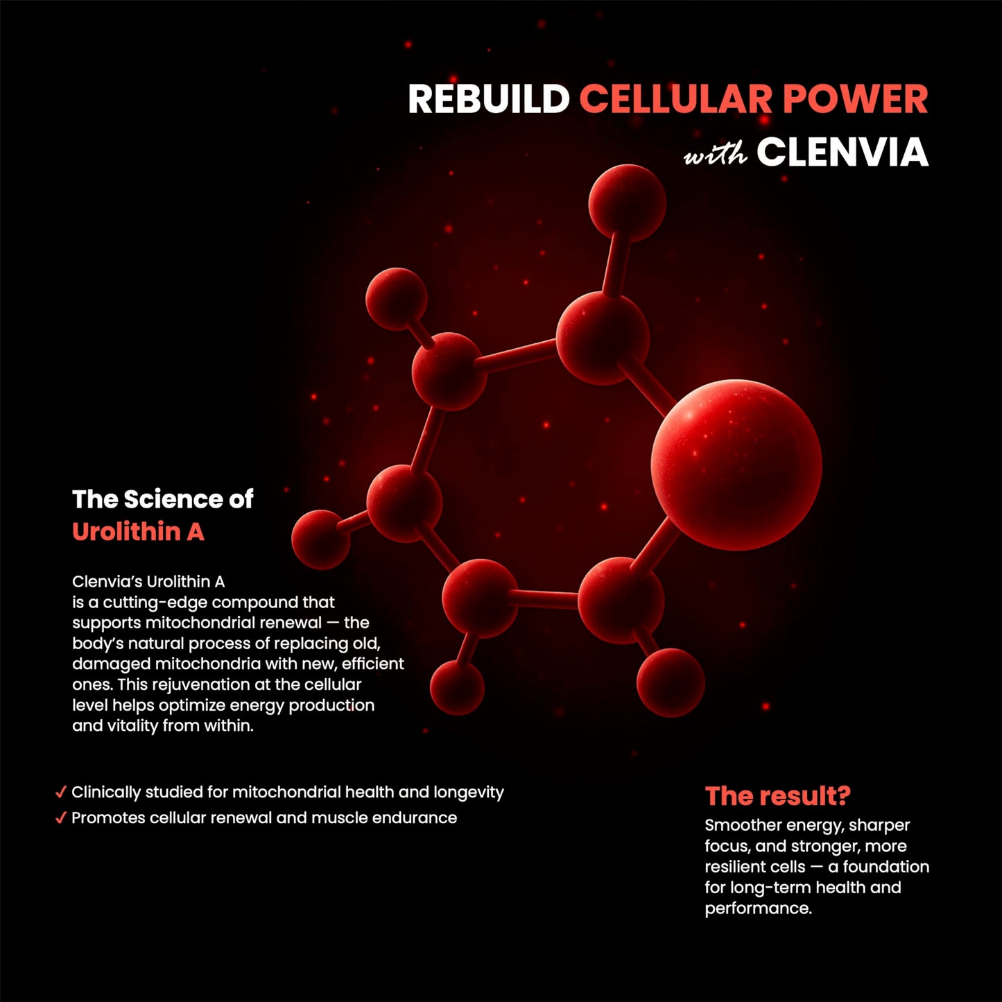 CLENVIA Longevity+ Urolithin A Supplement – Urolithin A+ with Trans-Resveratrol, Blueberry Extract & Green Tea EGCG – Cellular Energy, Muscle Strength & Healthy Aging – Vegan, Non-GMO, 90 Capsules