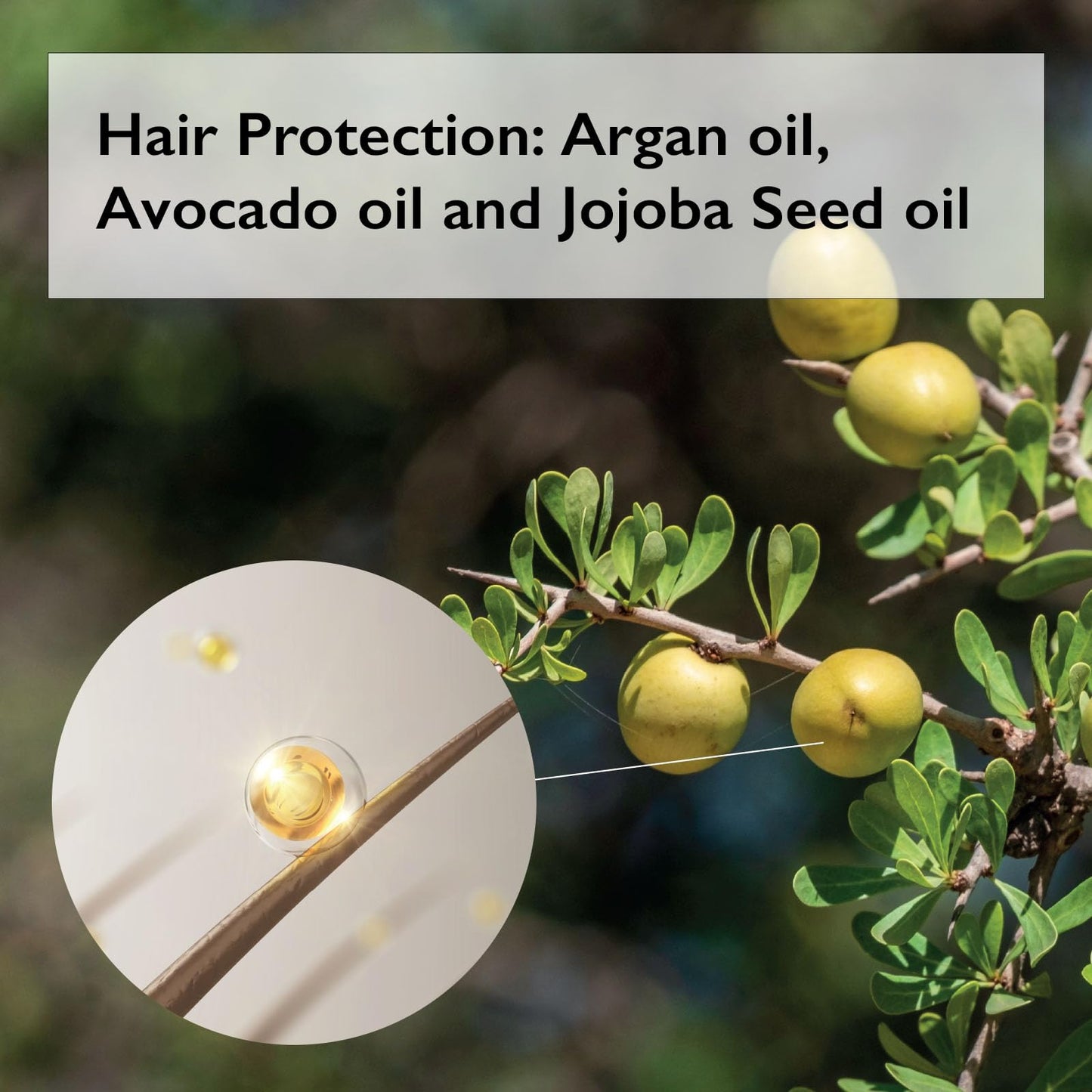 [Lazy Society] Grooming Tonic Hair Mist All-Natural Premium Hair Styling Product, Enhances Volume, Perfect for Styling with a Natural Hair Setting Oil