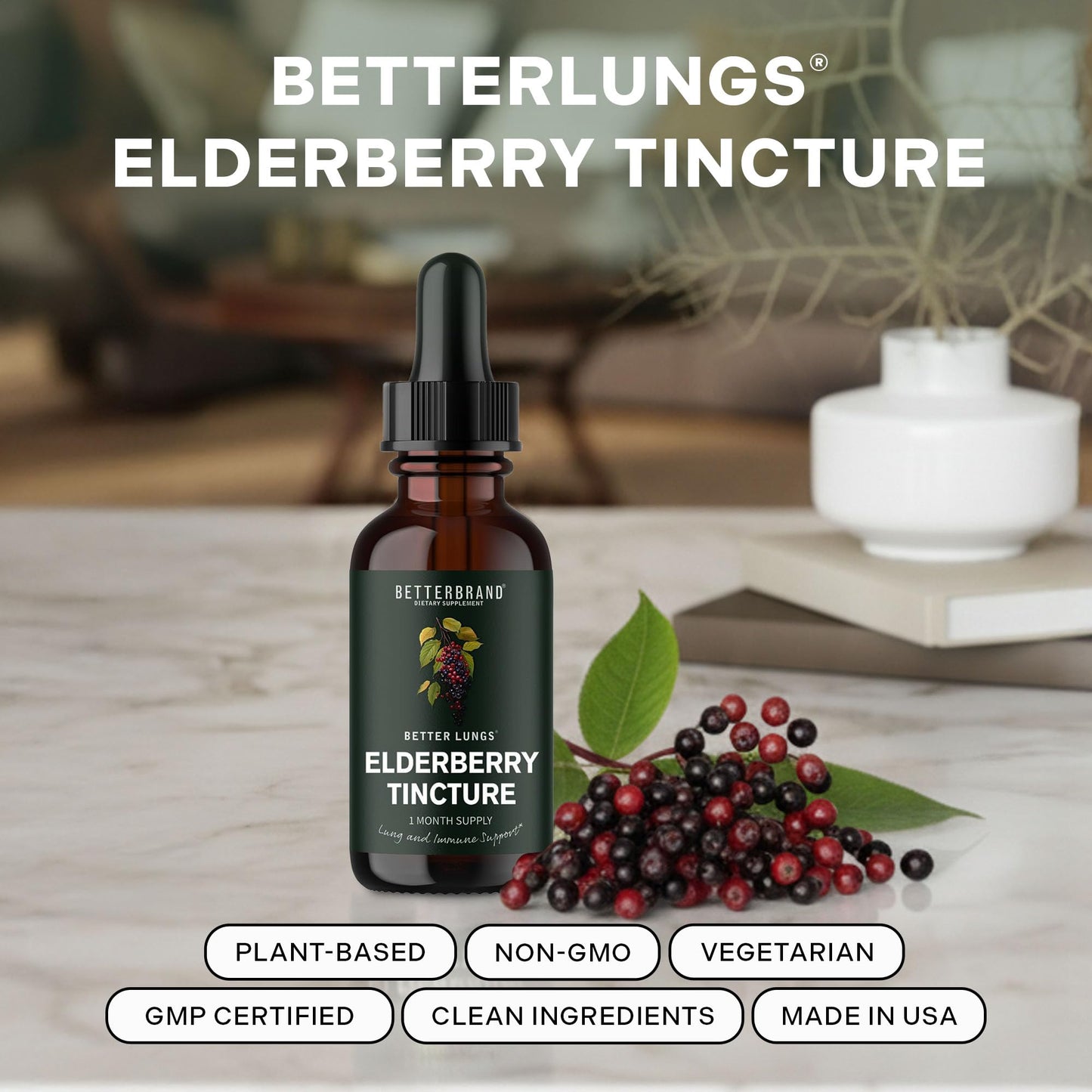 Betterbrand BetterLungs Elderberry Tincture, Natural Immune Support Supplement - Sugar-Free, Non-GMO, Alcohol Free, Vegetarian - 30 Day Supply