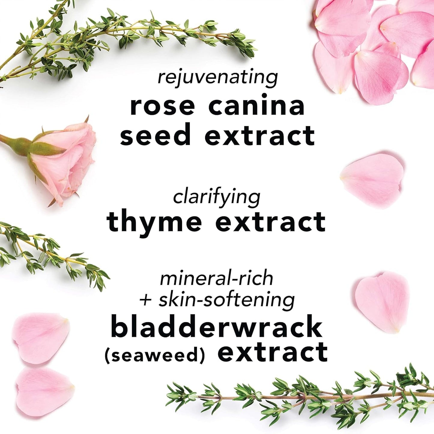 Hydrating Facial Spray with Aloe, Rose Water & Chamomile - Lavender Duo Mist for All Skin Types