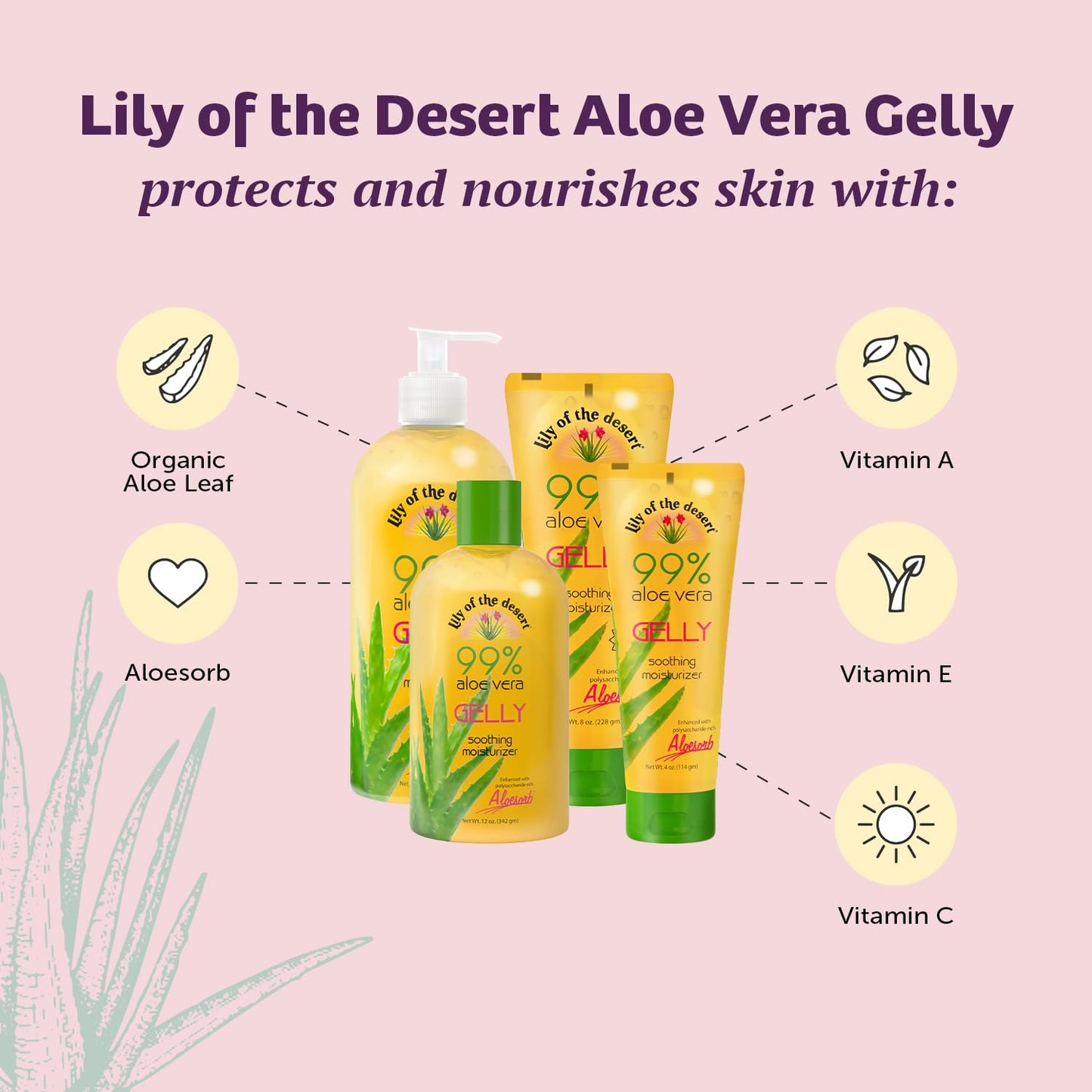 Lily Of The Desert Gelly Moisturizer - 99% Organic Aloe Vera Gel for Skin, After Sun Care with Aloe, Vitamin E Oil, and Vitamin C for Sunburn Relief, 4 Fl Oz